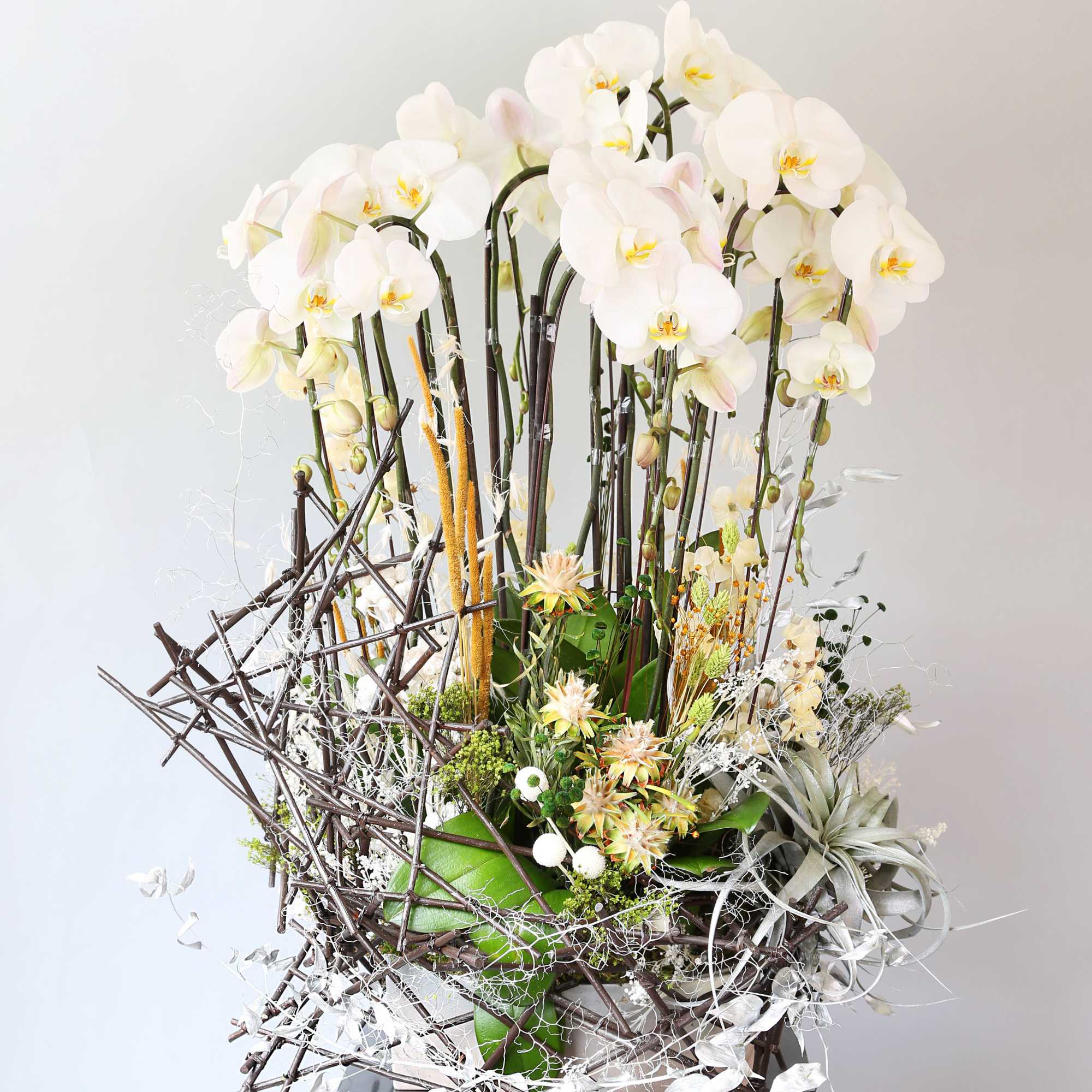 I unique design of Premium Orchid arrangement with sculpture design  preserve