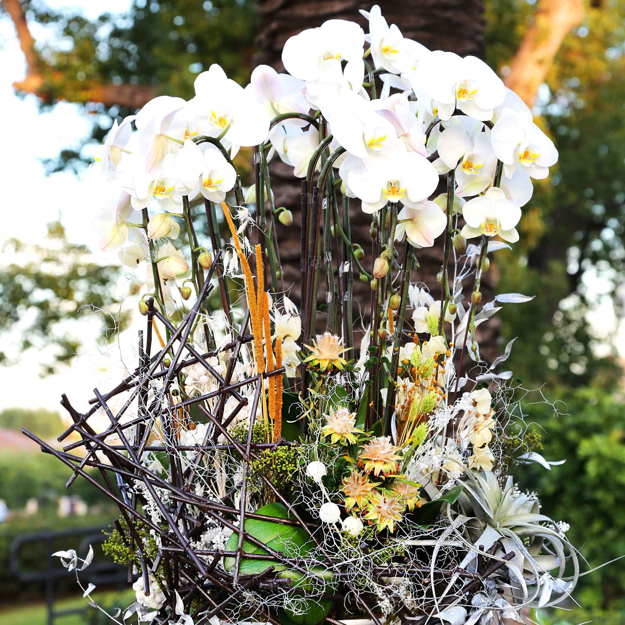 I unique design of Premium Orchid arrangement with sculpture design  preserve, photo 2 of 4
