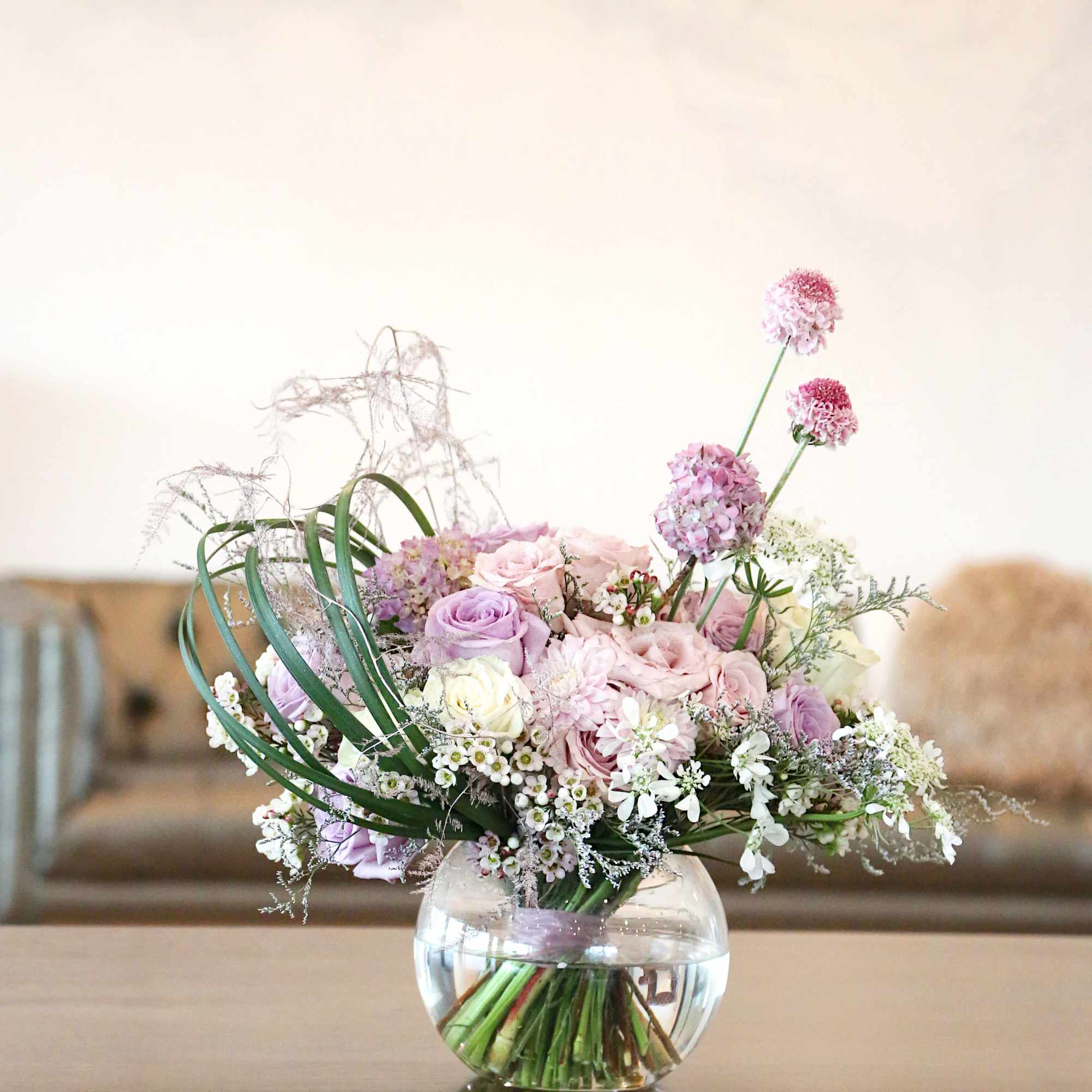 A romantic Lavender and Ivory fragrant garden rose with seasonal bloom with