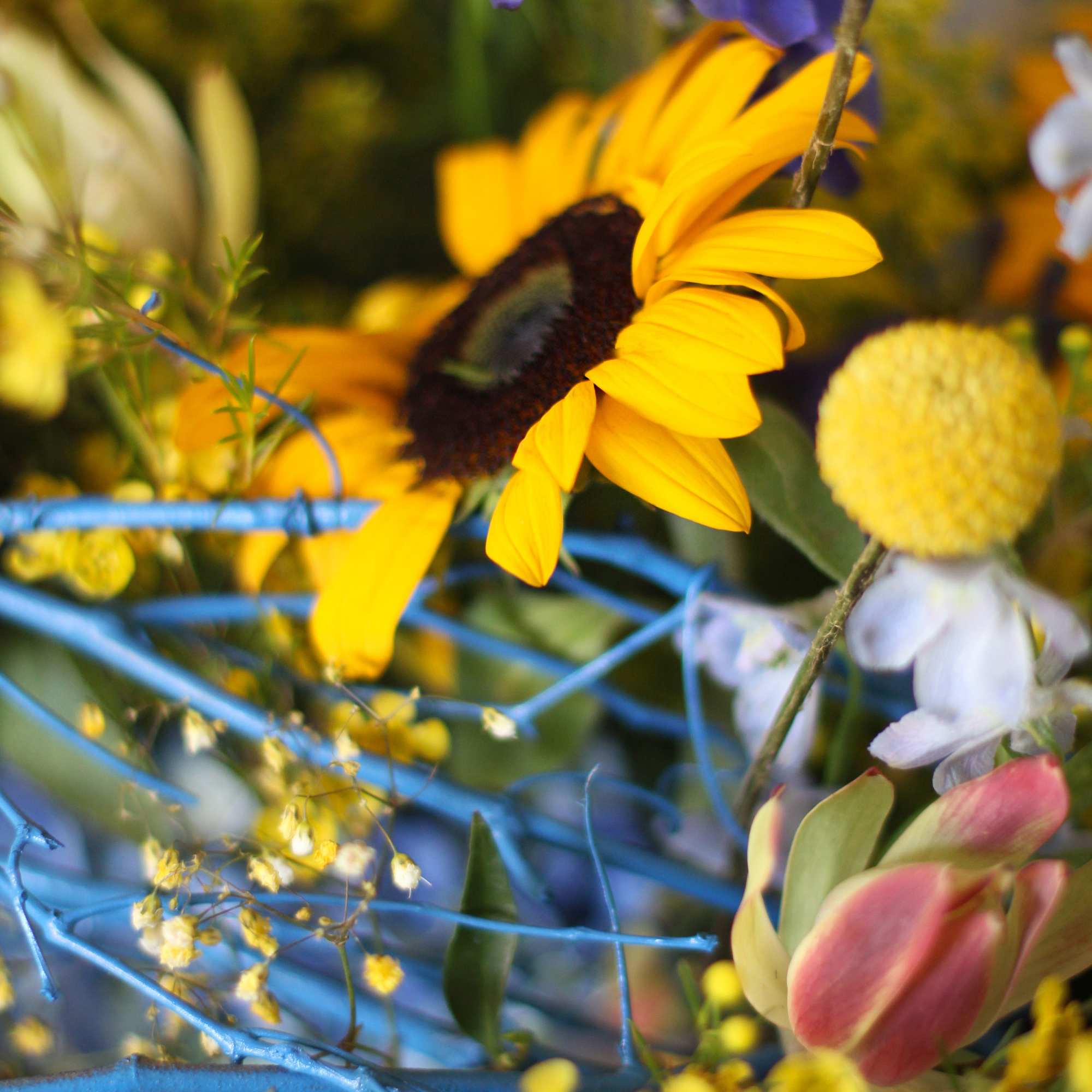 We will donate $100 dollars of each order for this arrangement to, photo 2 of 4