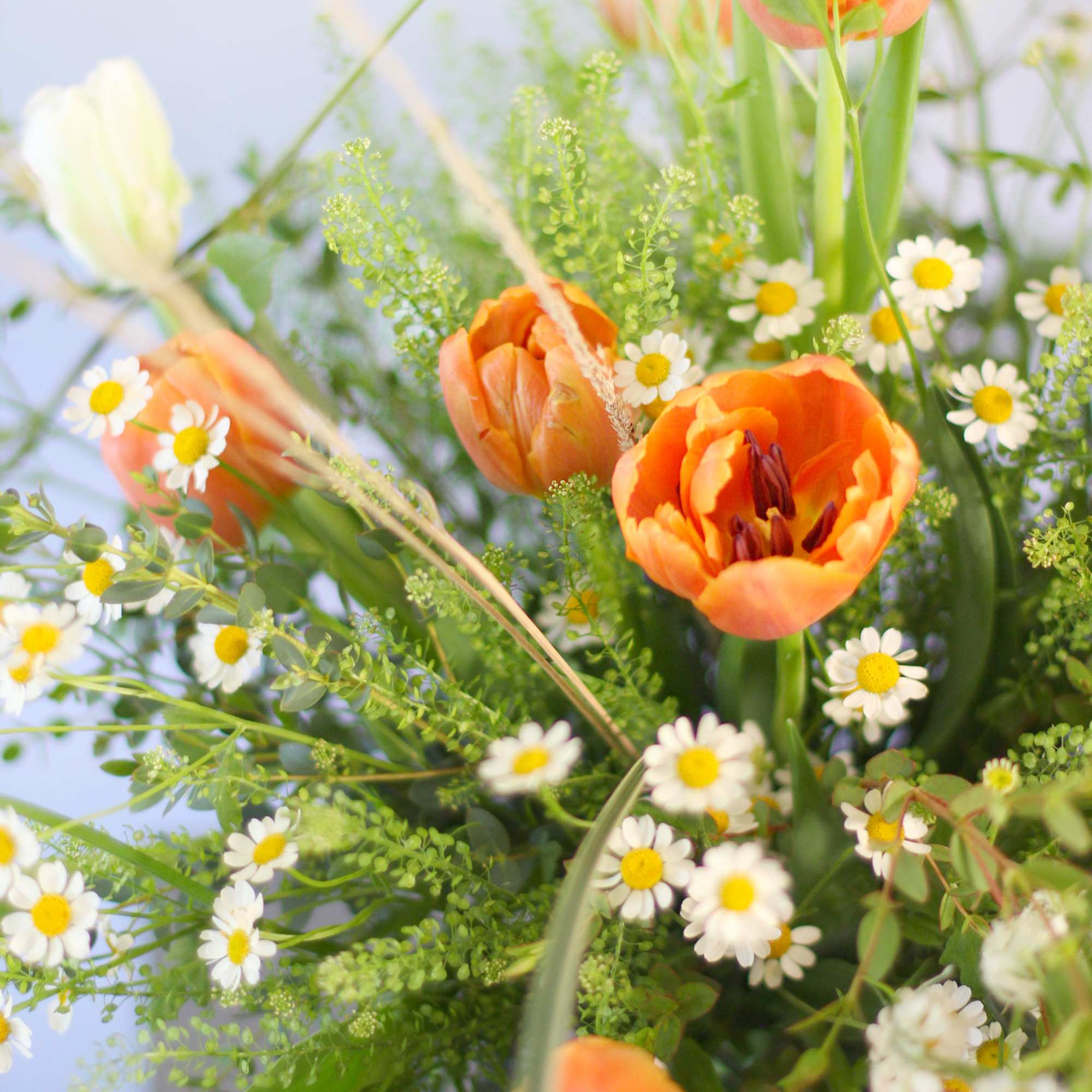 An adorable wild flower style bouquet create by Orange and Ivory tulip, photo 4 of 4