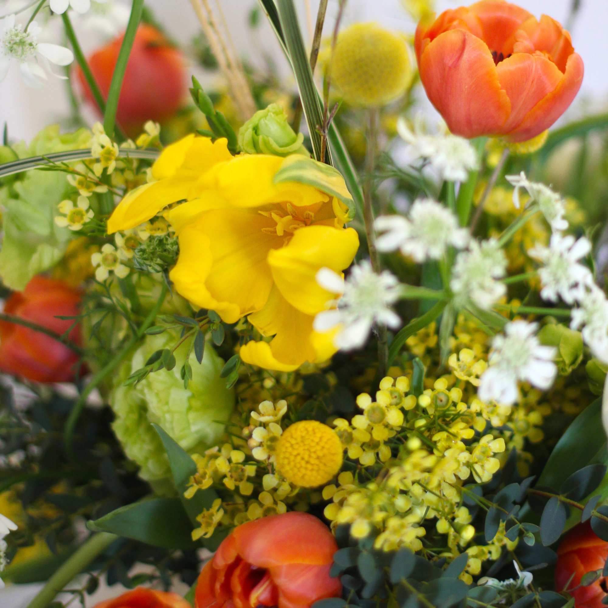 A cheerful Orange, yellow and Ivory Tulip combination handtie bouquet. This arrangement, photo 2 of 4