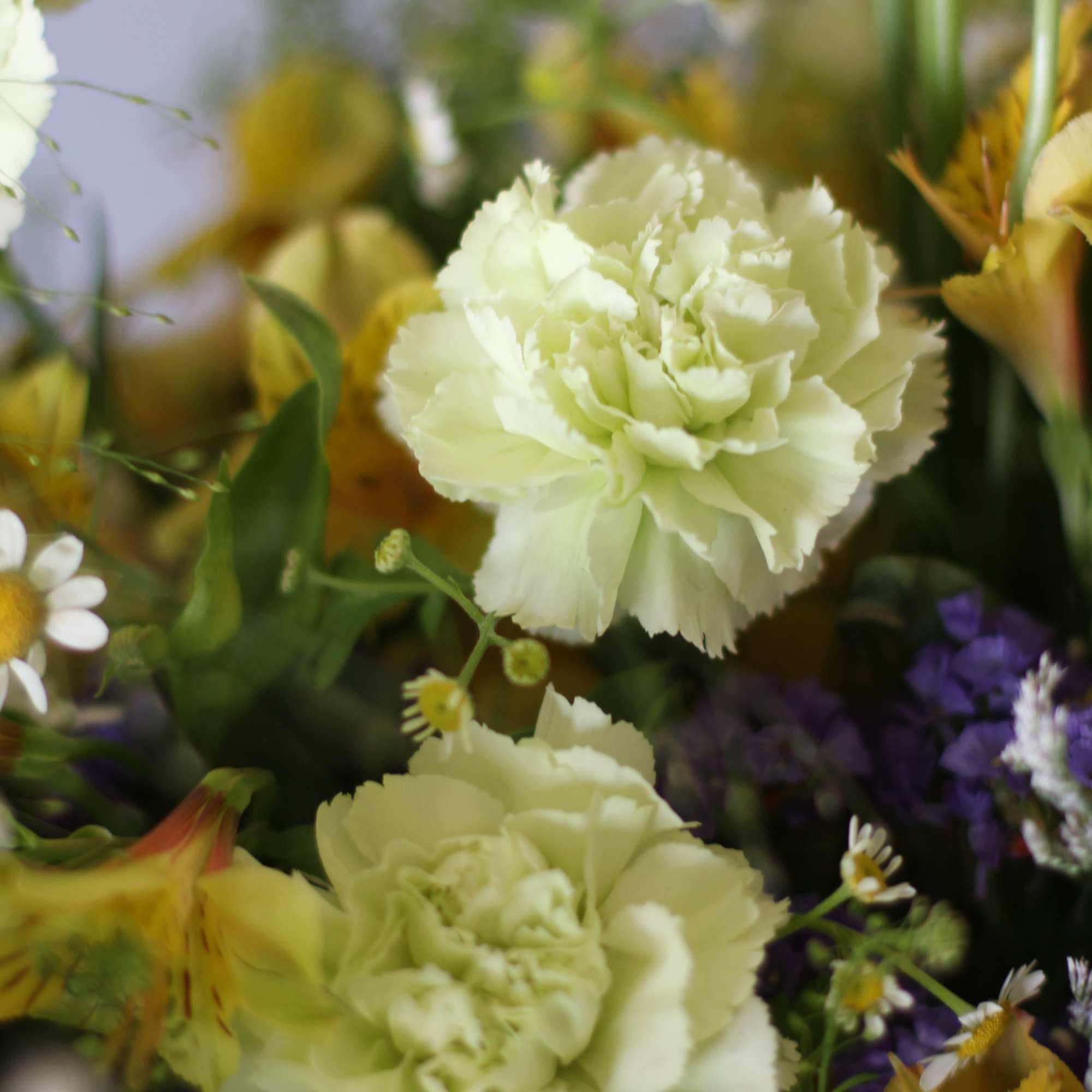 A fresh cheerful mint with yellow color palette brings in a refresh, photo 2 of 4