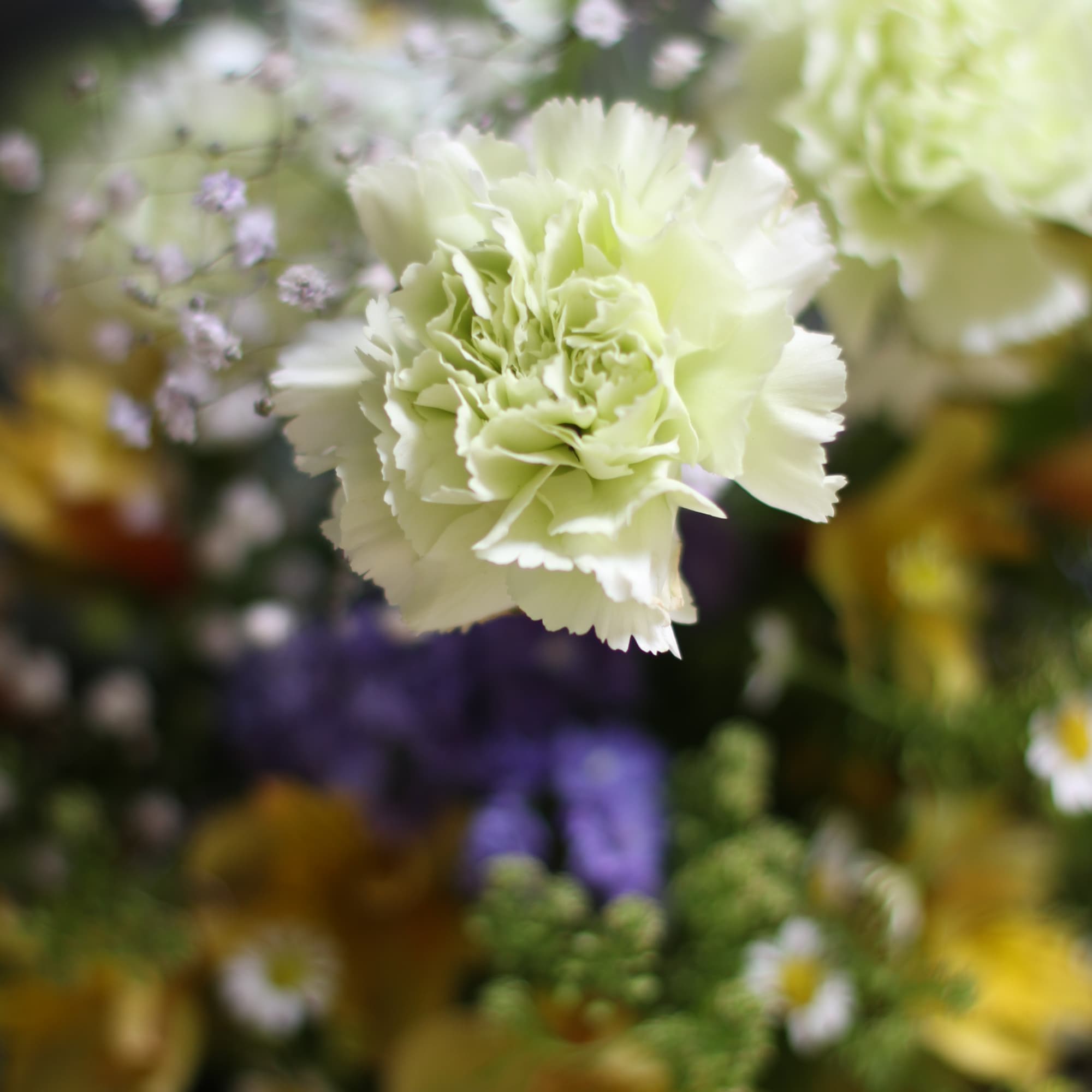 A fresh cheerful mint with yellow color palette brings in a refresh, photo 3 of 4