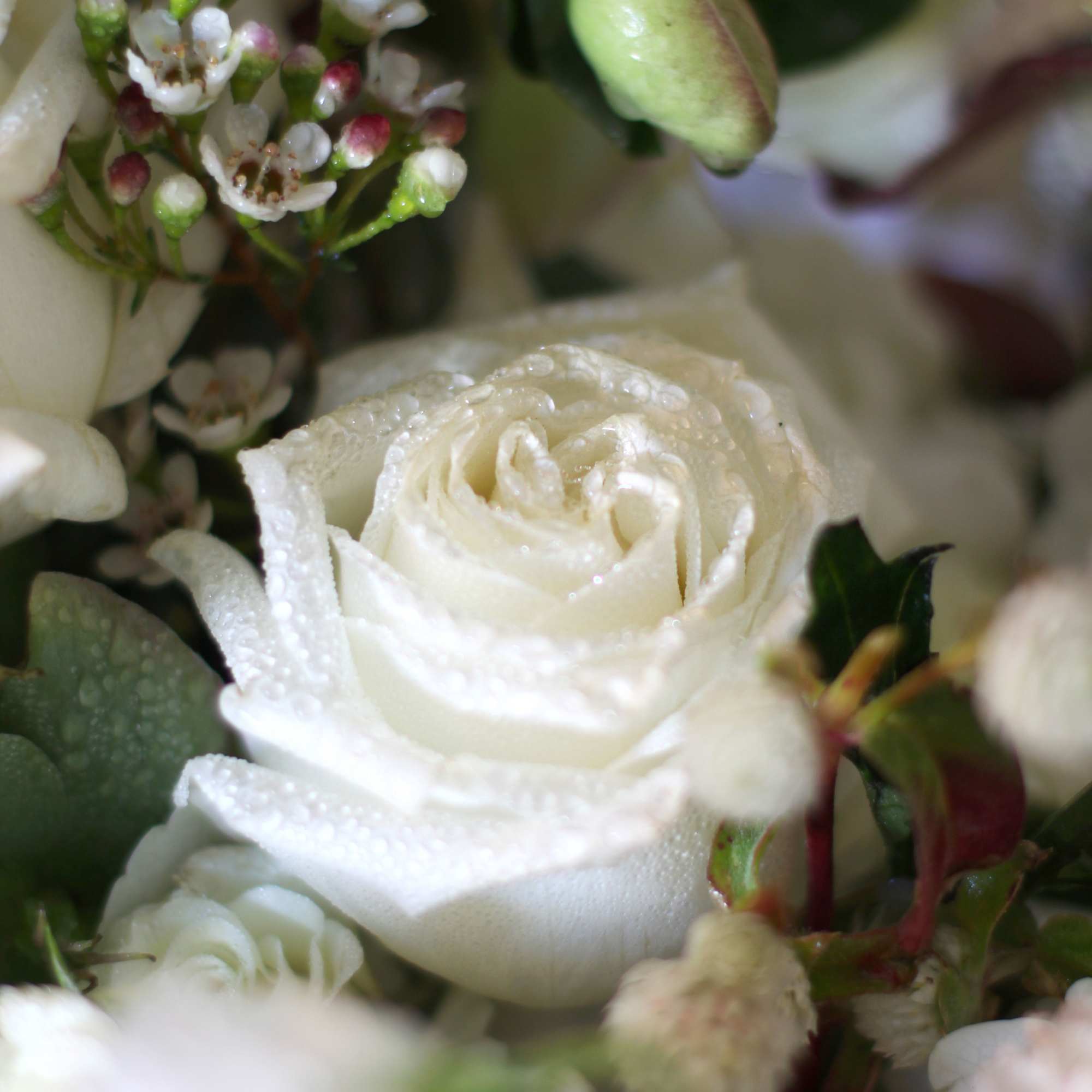 An elegant luxury arrangement with all precious ivory bloom, such as garden, photo 6 of 6