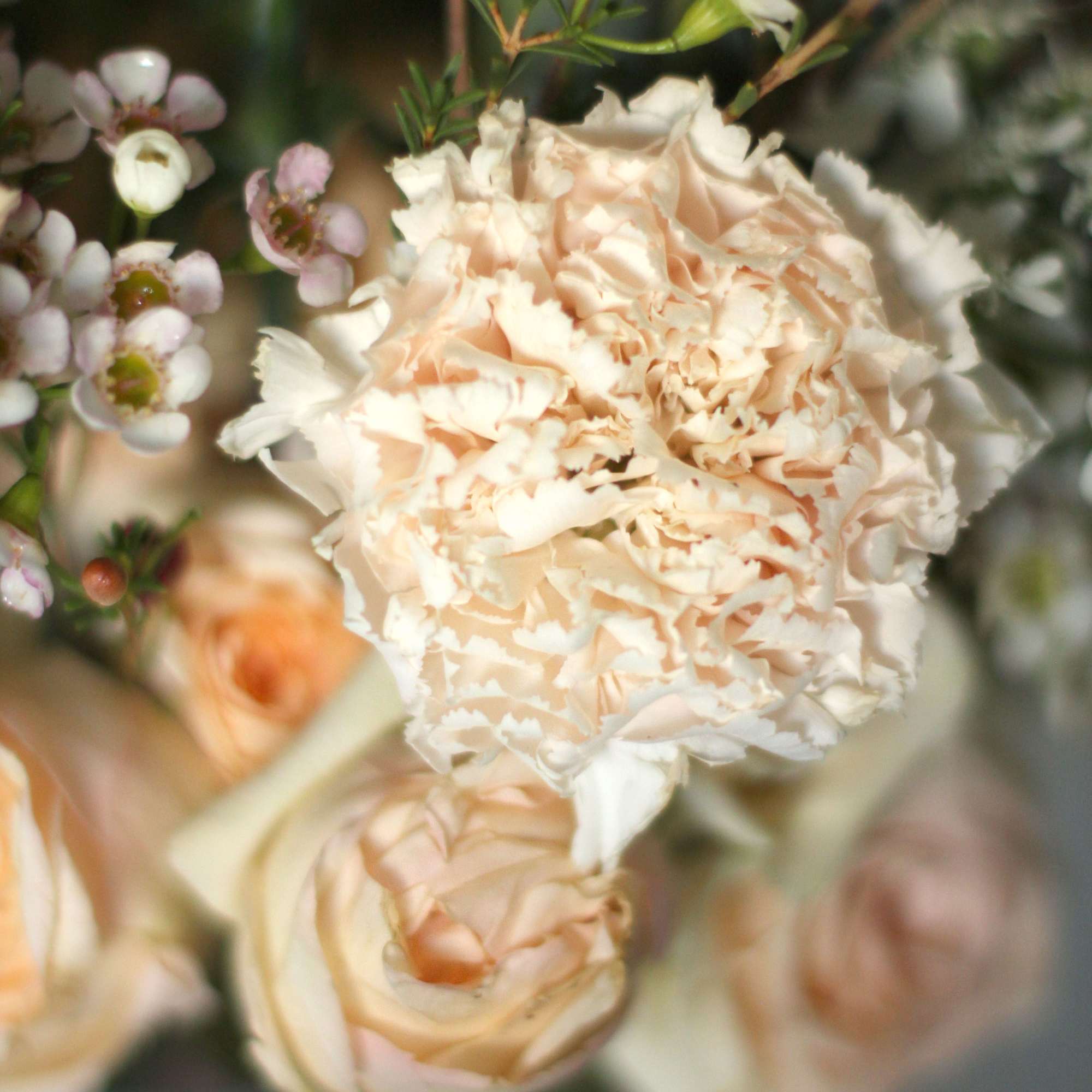A soft blush, sand color way which express a very gentle lovely, photo 4 of 4