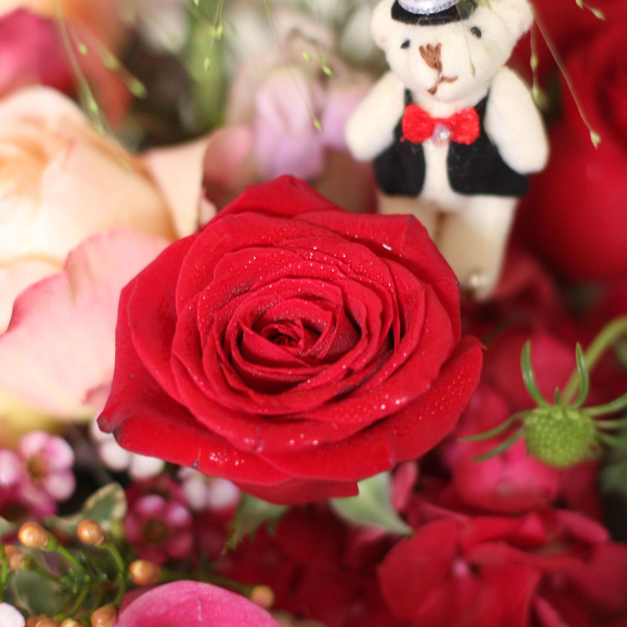 A unique stylish Ombre color arrangement creates on the special Raspberry red, photo 7 of 7