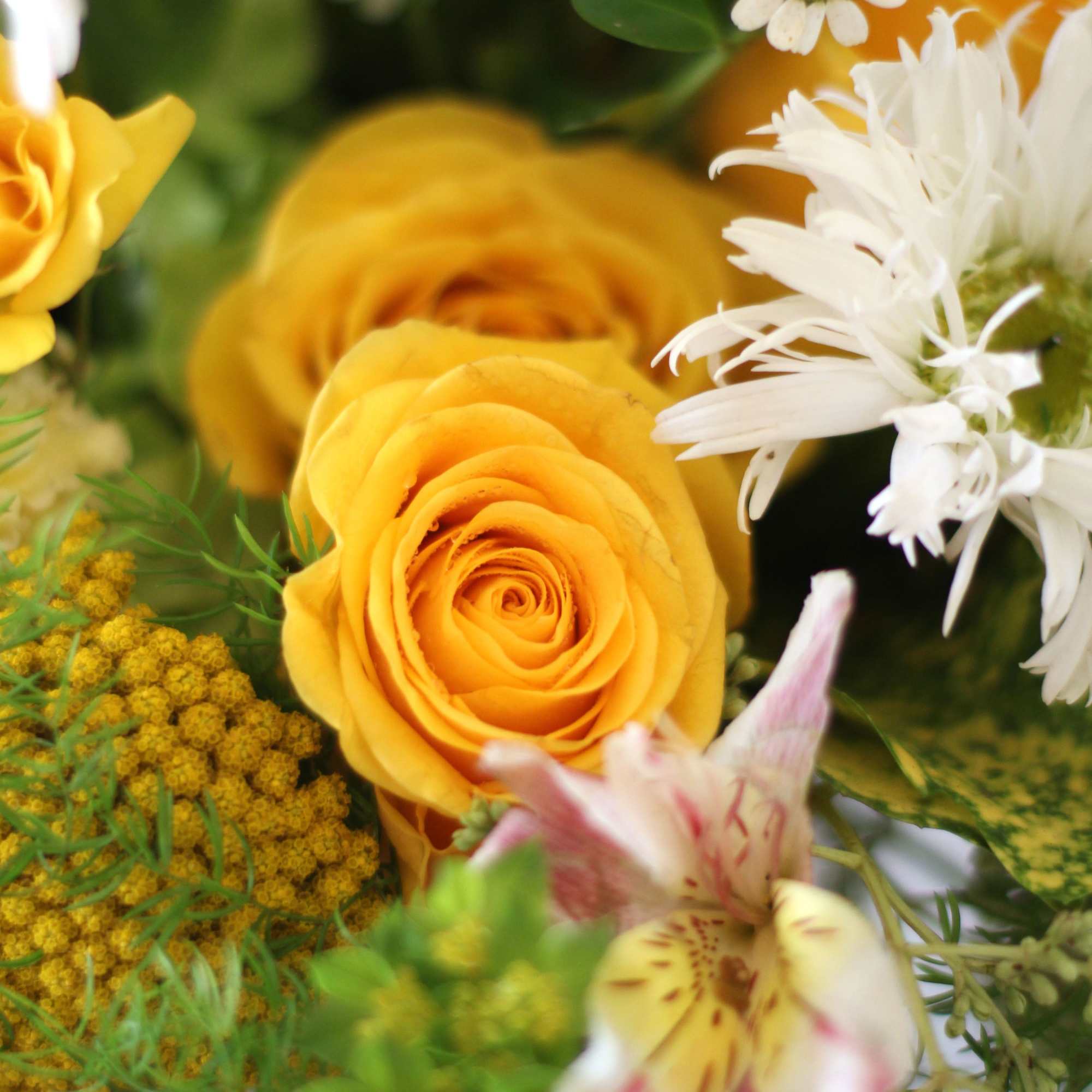 Bring sunshine indoors with Golden Meadow, a wild, airy floral arrangement bursting, photo 3 of 3