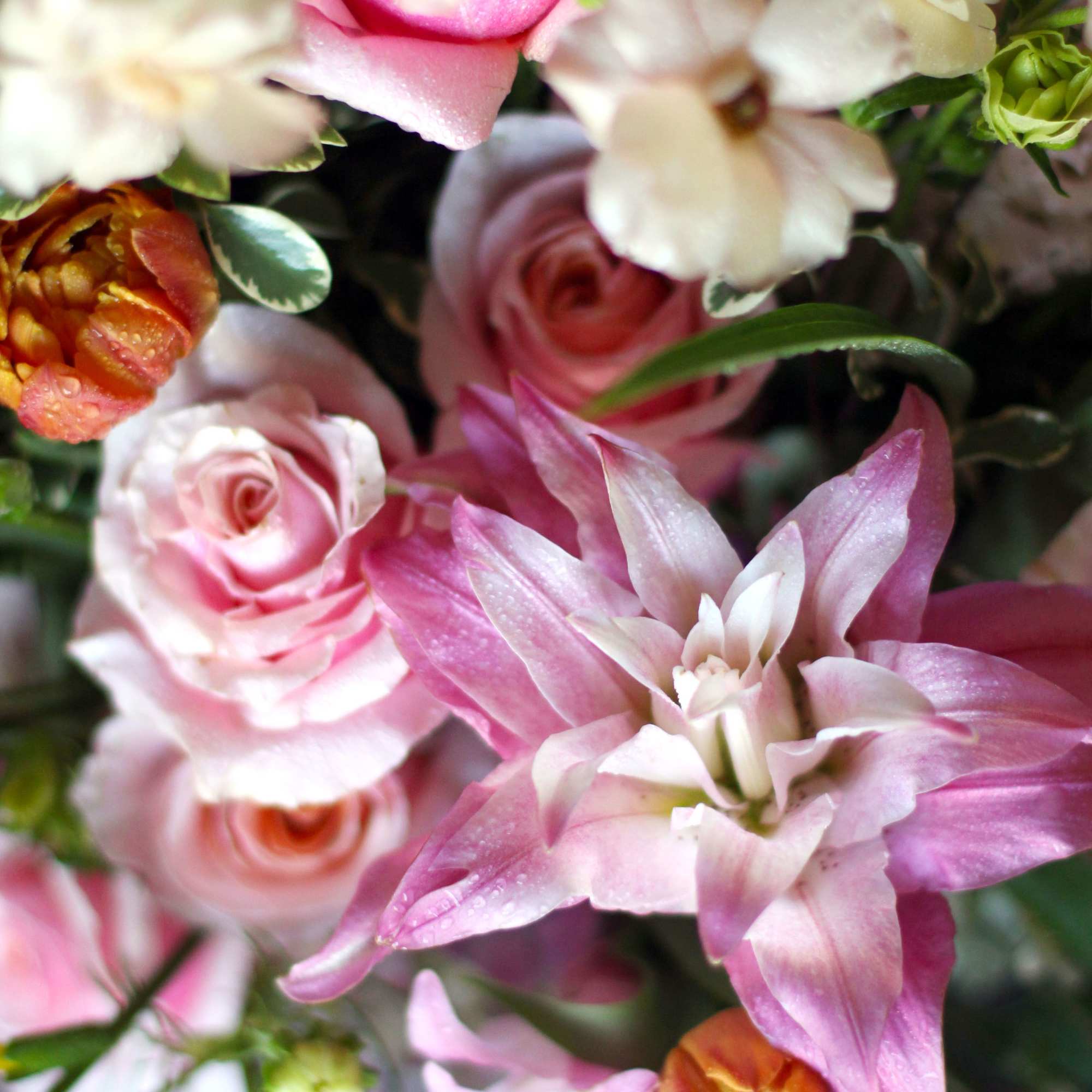 Experience the enchanting allure of our "Blossom Bliss" arrangement, a celebration of, photo 5 of 5