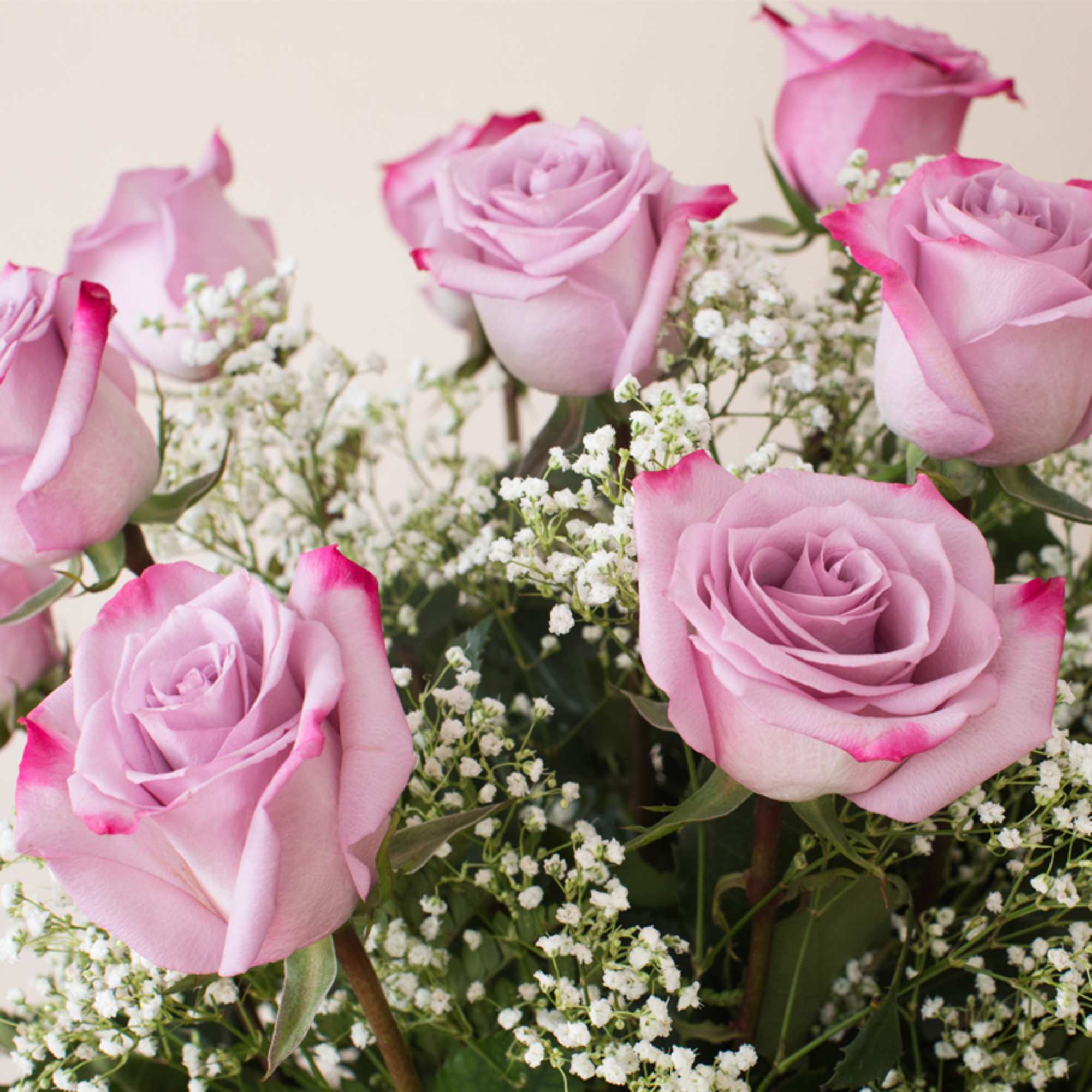 Arrangement of light pink roses with darker pink tips and small white filler flowers.