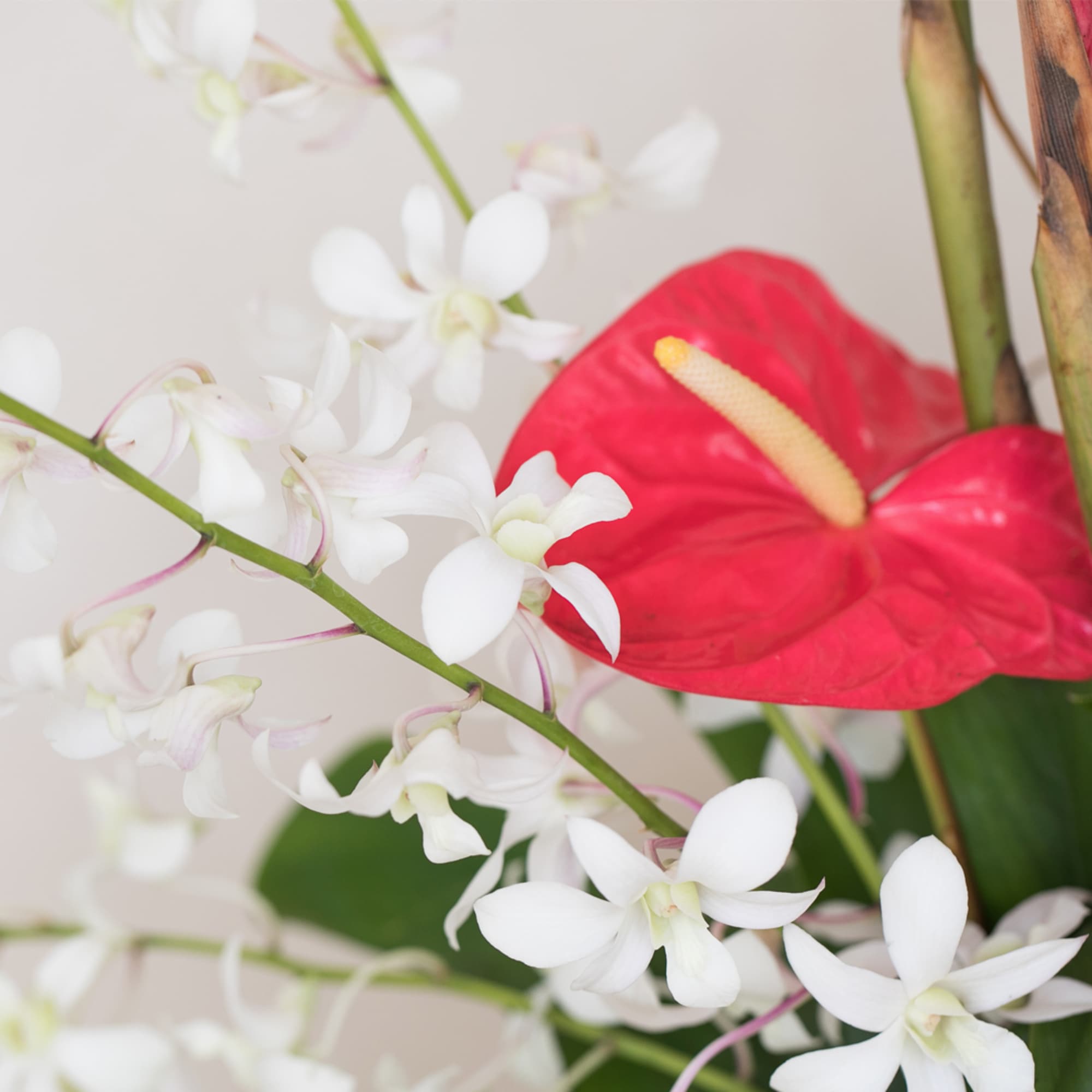 Approximately 35" H x 30" W, this stunning arrangement is filled with, photo 3 of 5