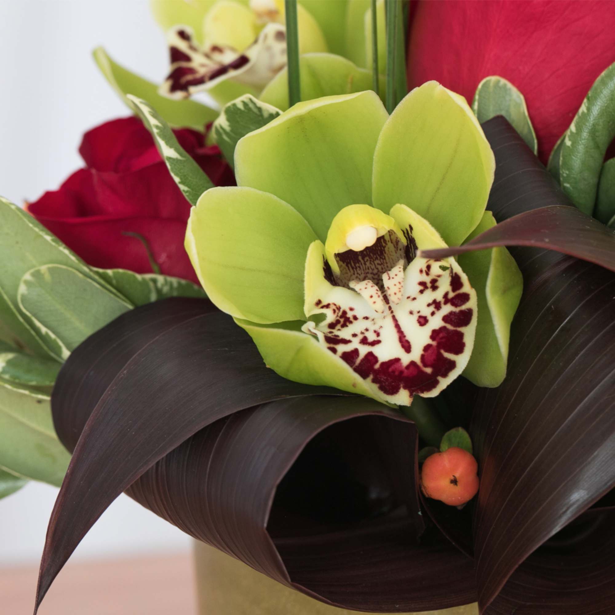 Close-up of a green cymbidium orchid with red roses and dark curled leaves in an arrangement.