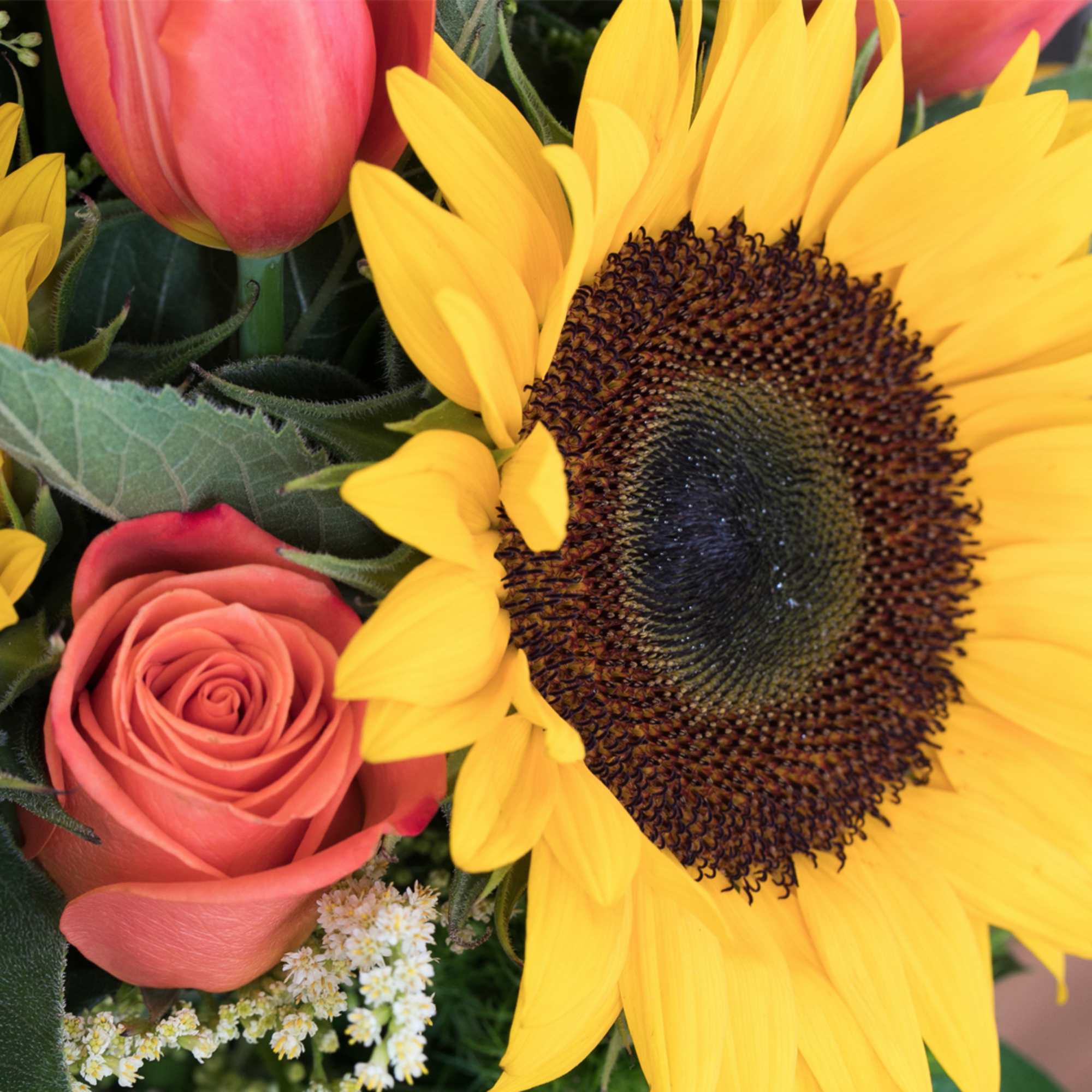Close-up of a bouquet with a large yellow sunflower, peach rose, pink tulip, and small white filler blooms.