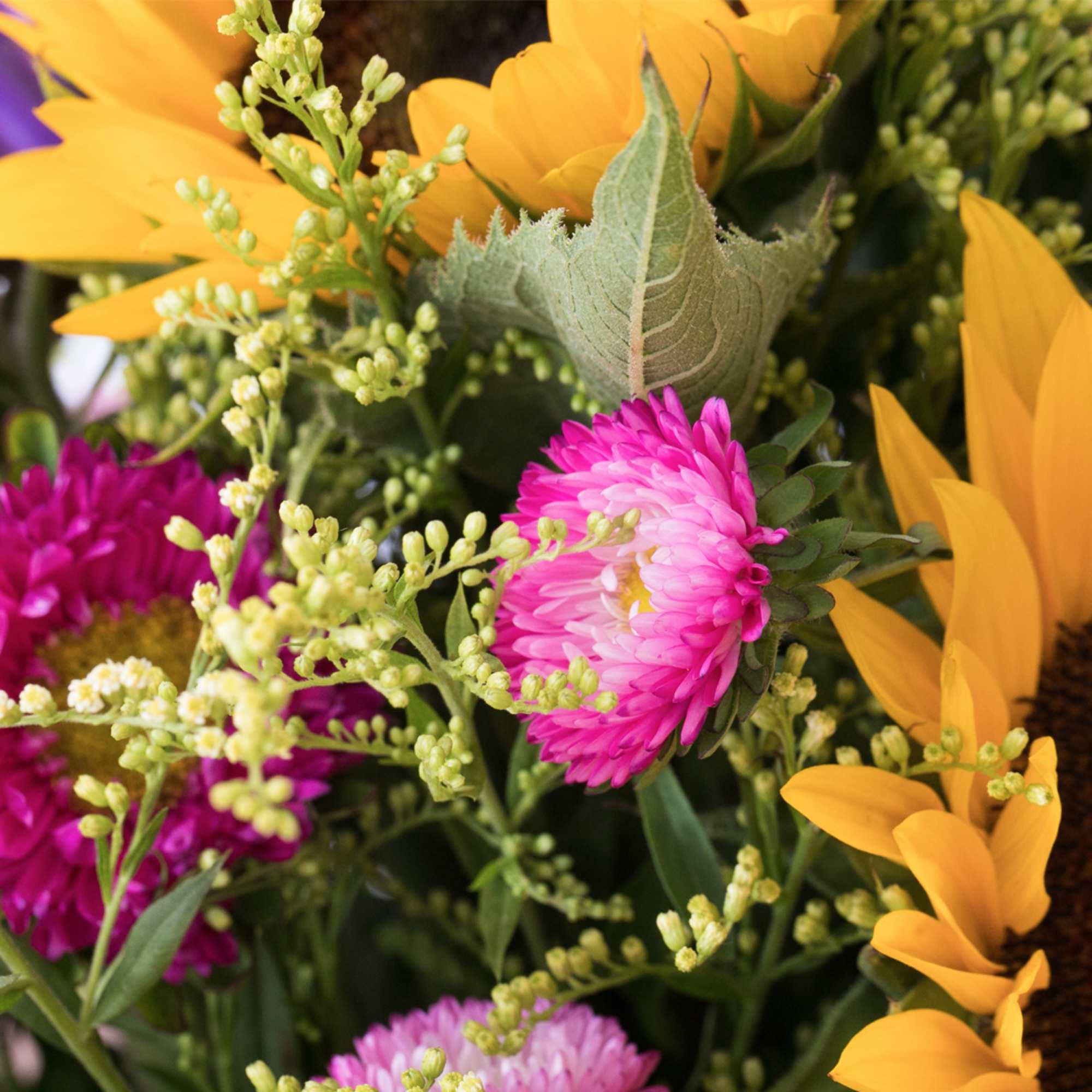 Close-up of yellow sunflowers and pink chrysanthemum-style blooms with small green filler buds