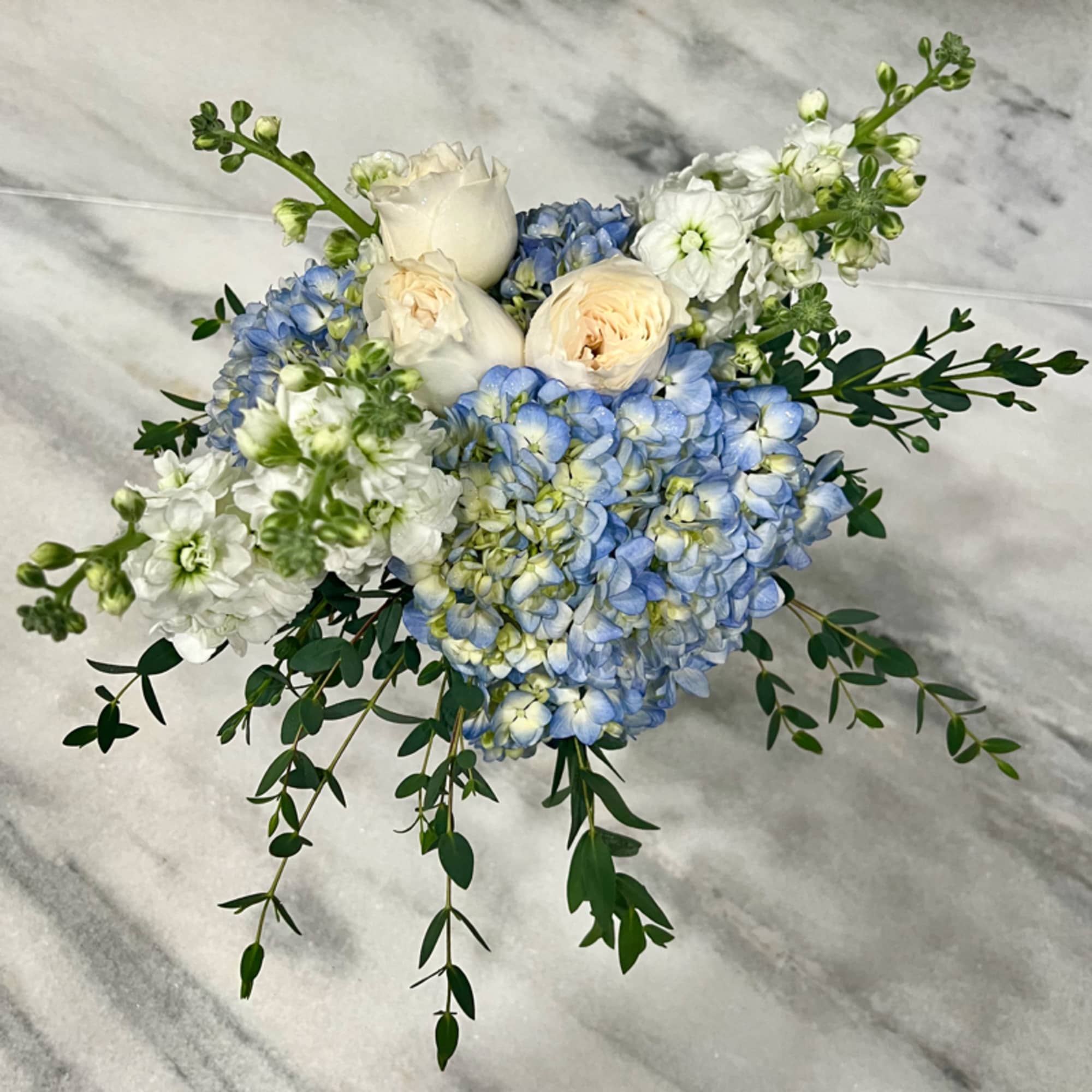 Low arrangement of blue hydrangeas, white stock, and cream roses with trailing greenery