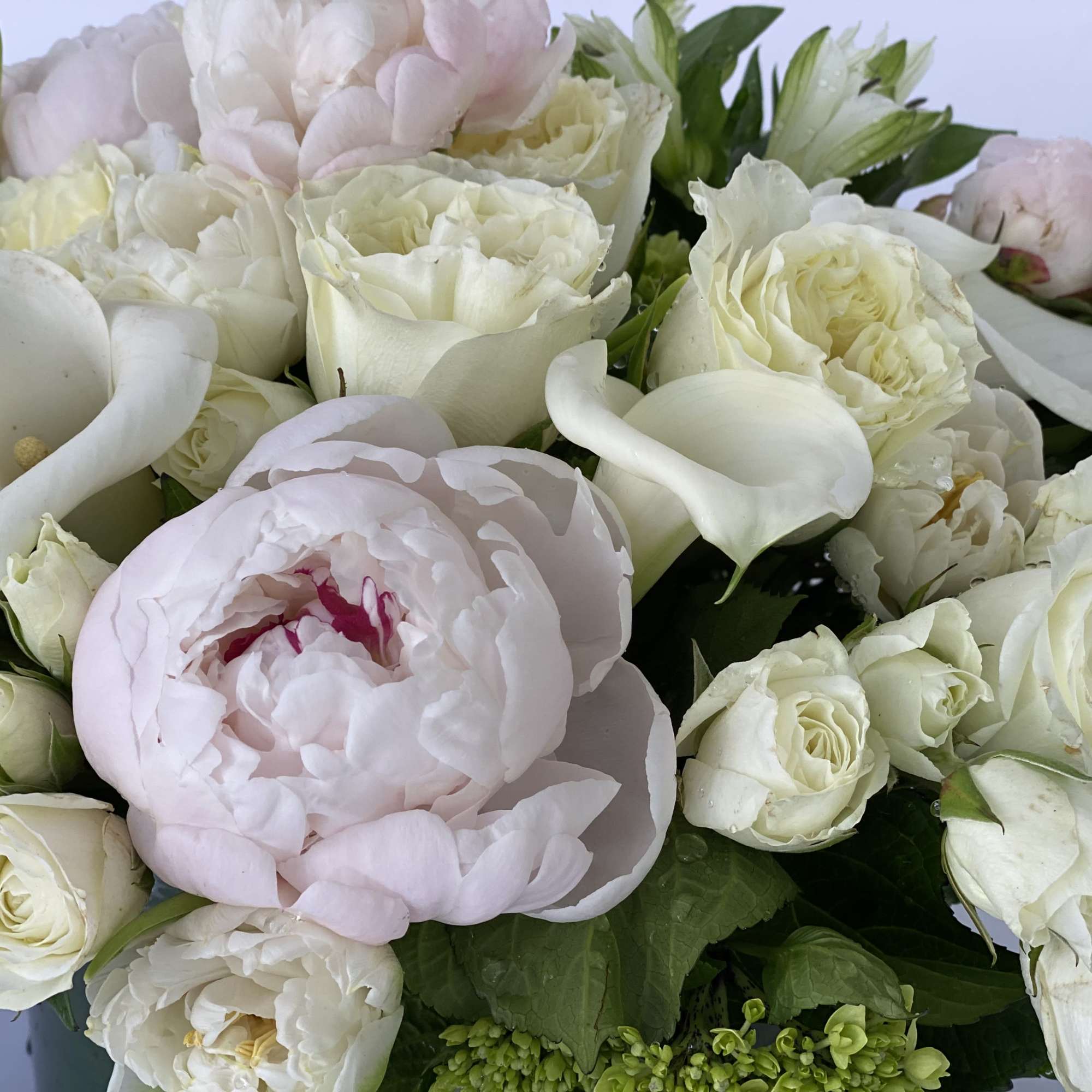 White and pale pink bouquet with roses, peonies, and calla lilies