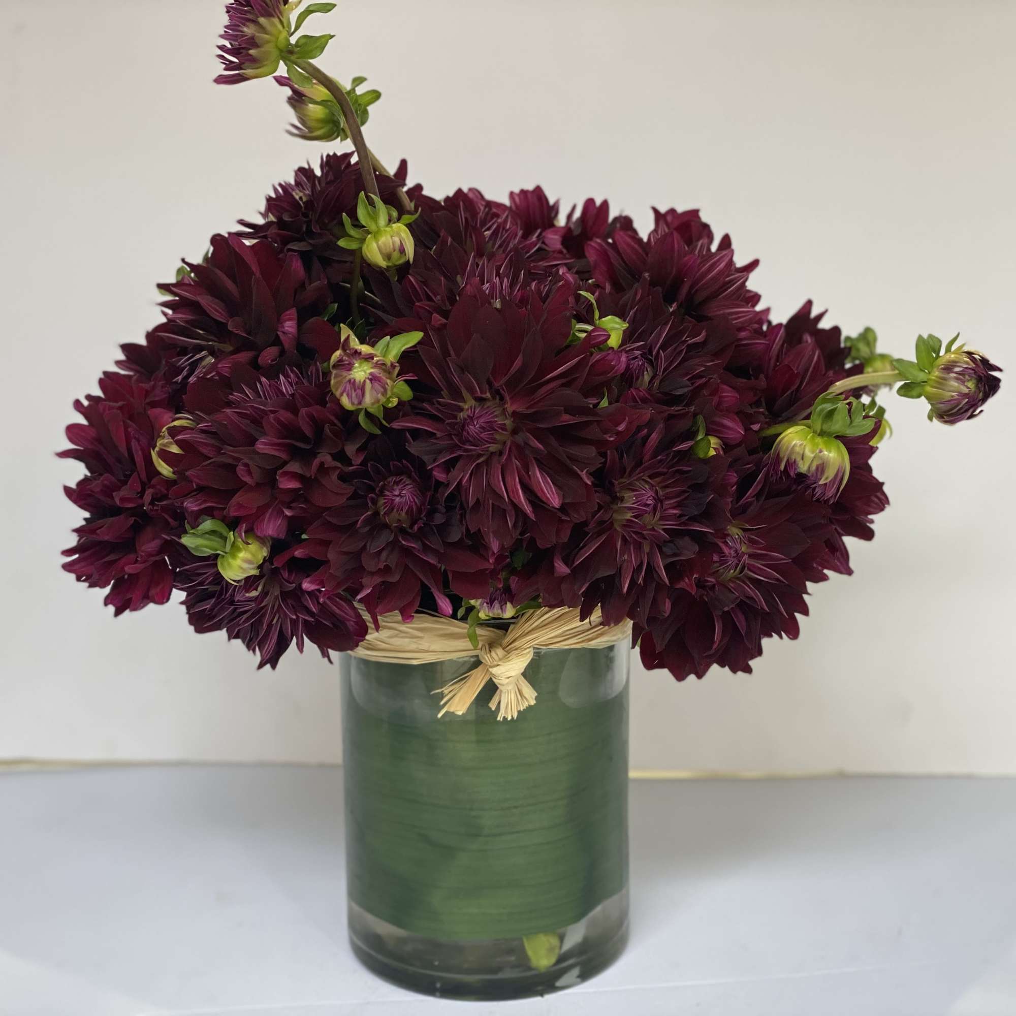 Award - Winning Dahlia 'Nuit d' Ete' is a devilishly dark burgundy, photo 4 of 10