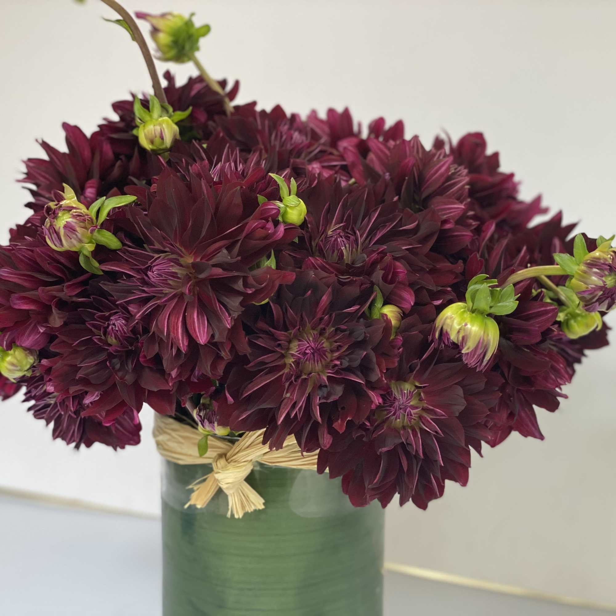 Award - Winning Dahlia 'Nuit d' Ete' is a devilishly dark burgundy, photo 3 of 10