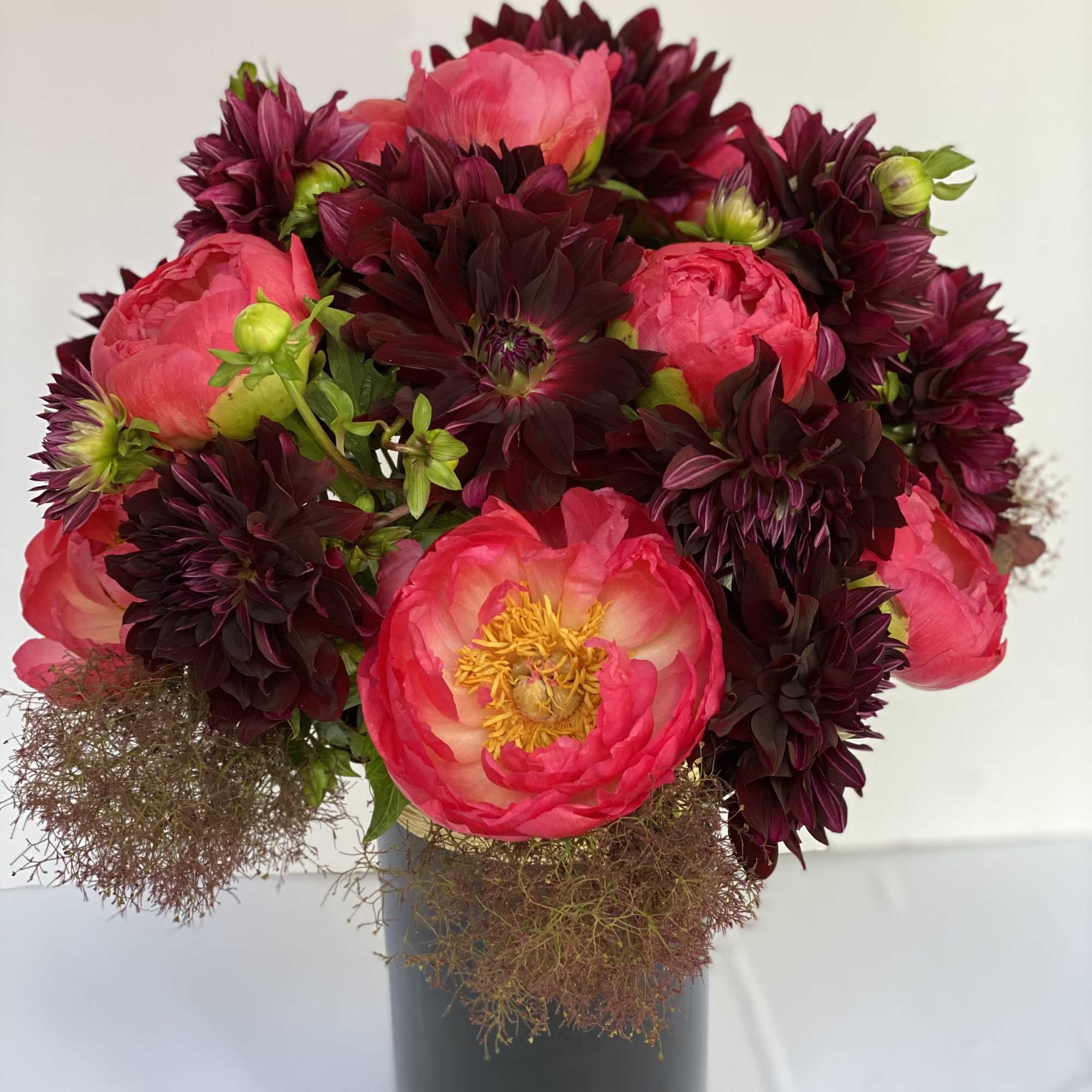 Award - Winning Dahlia 'Nuit d' Ete' is a devilishly dark burgundy