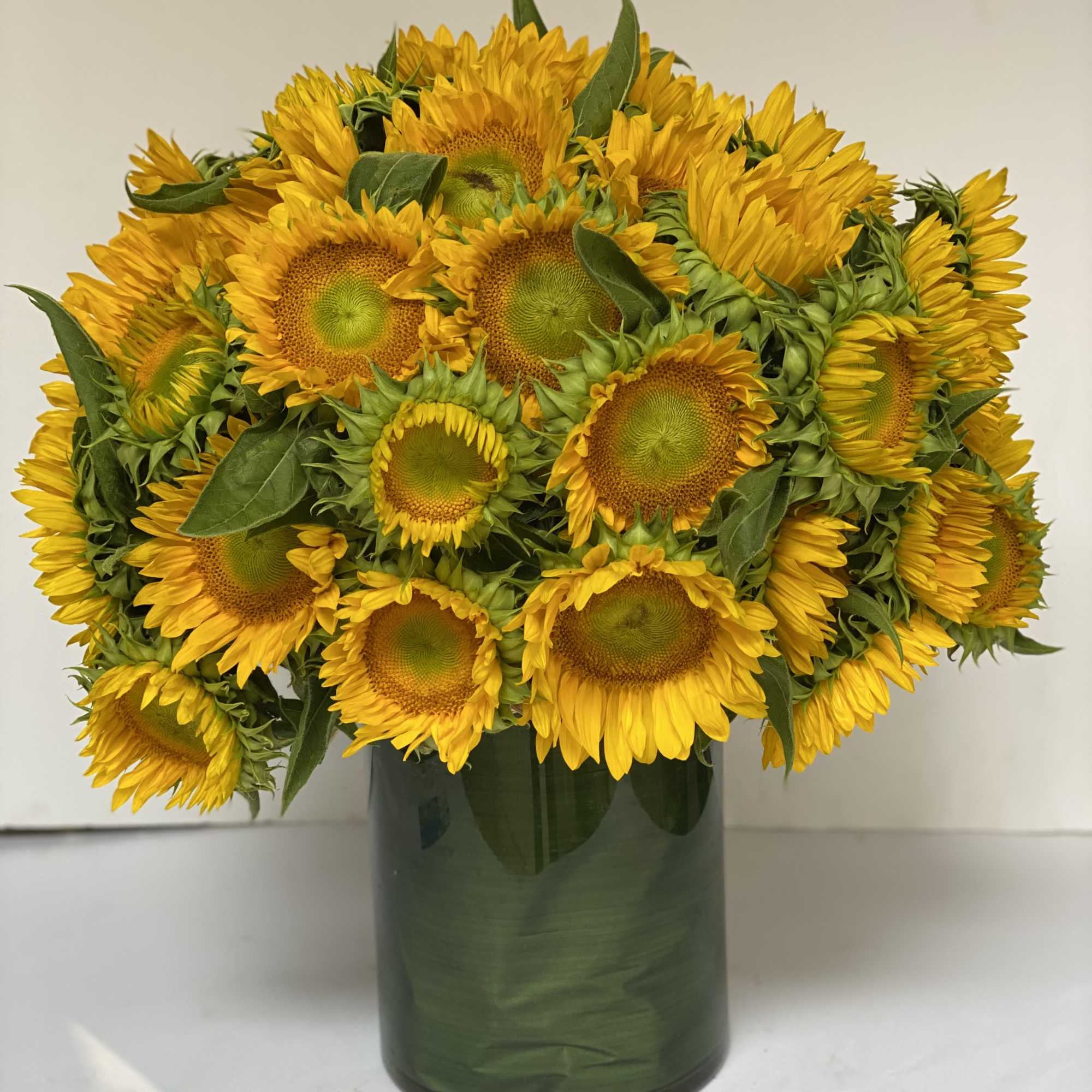LOW AND FULL COMPOSITION OF THE NATIONAL FLOWER OF UKRAINE USE AS