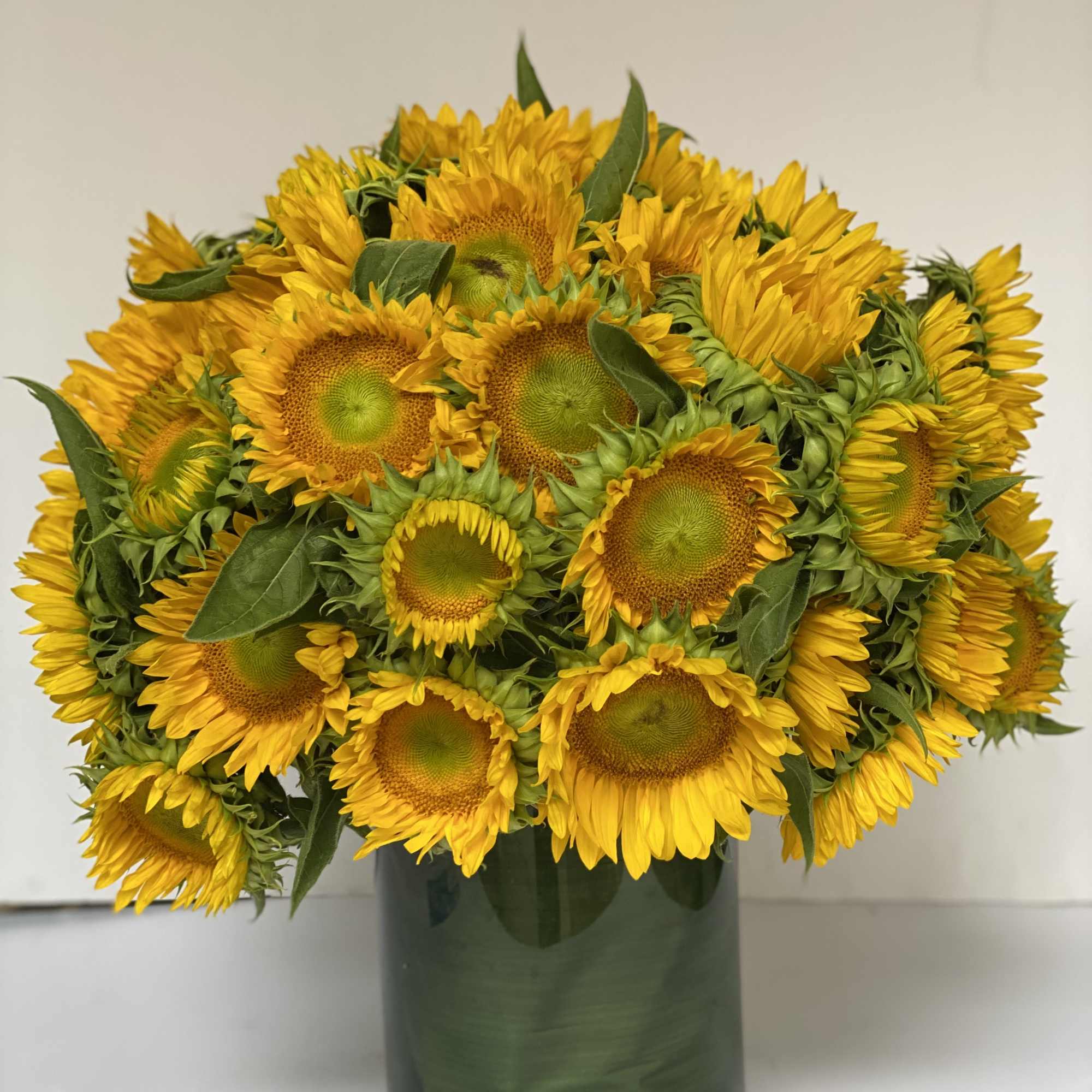 LOW AND FULL COMPOSITION OF THE NATIONAL FLOWER OF UKRAINE USE AS, photo 2 of 6
