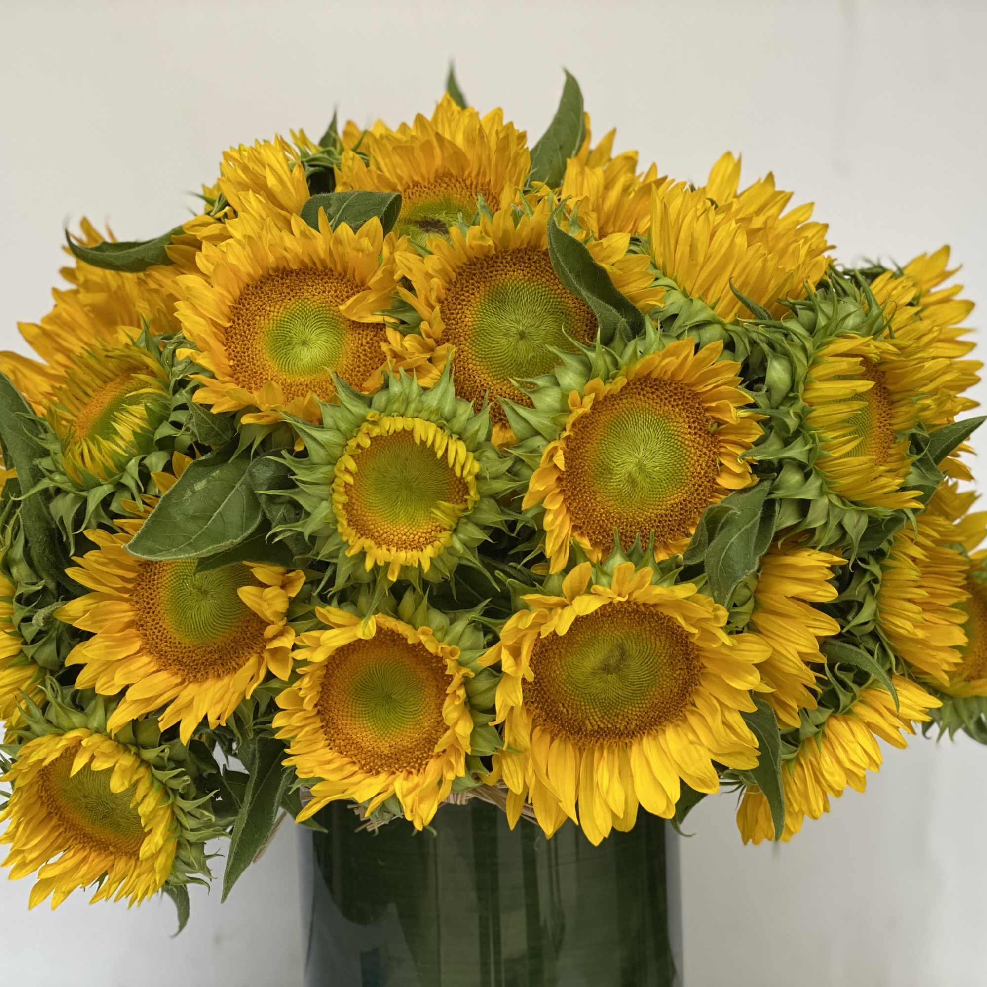 LOW AND FULL COMPOSITION OF THE NATIONAL FLOWER OF UKRAINE USE AS, photo 5 of 6