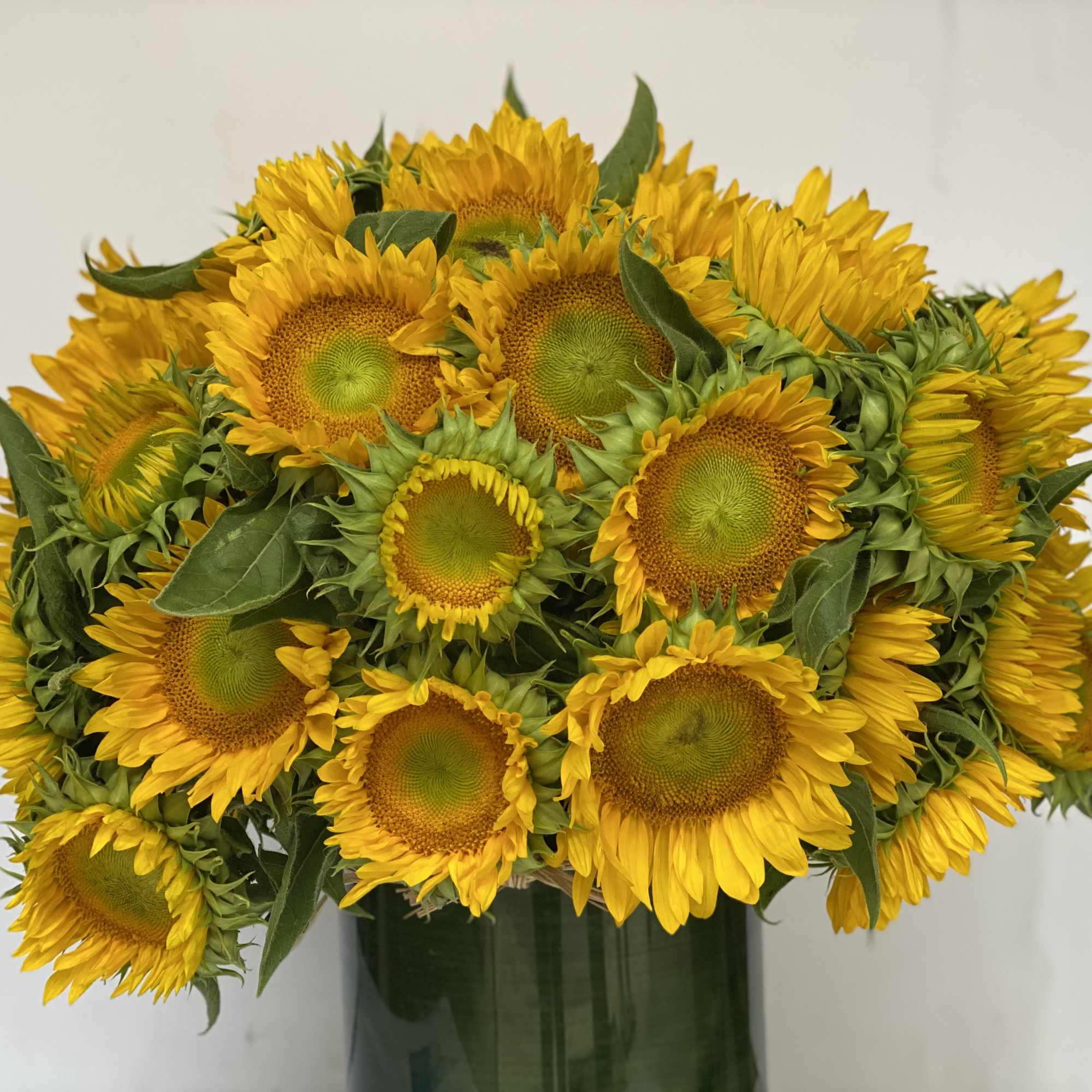 LOW AND FULL COMPOSITION OF THE NATIONAL FLOWER OF UKRAINE USE AS, photo 6 of 6