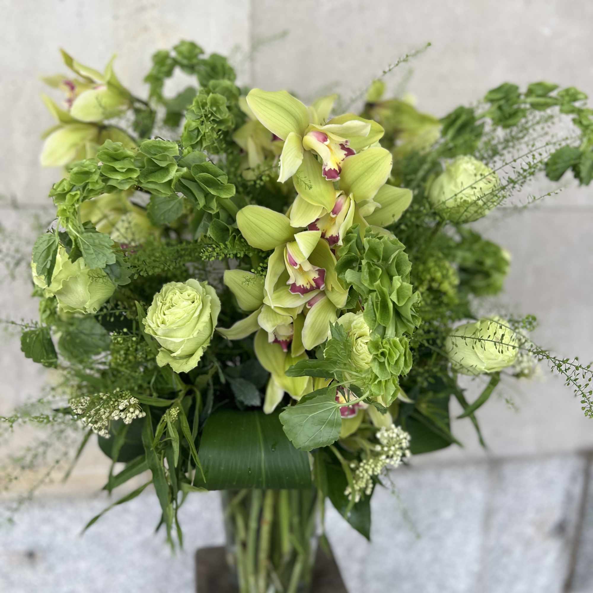 TALL LUSH ARRANGMENT CYMBIDIUM ORCHID, MINI GREEN HYDRANGEAS, BELLS OF IRELAND, ASCLEPIA, photo 4 of 7