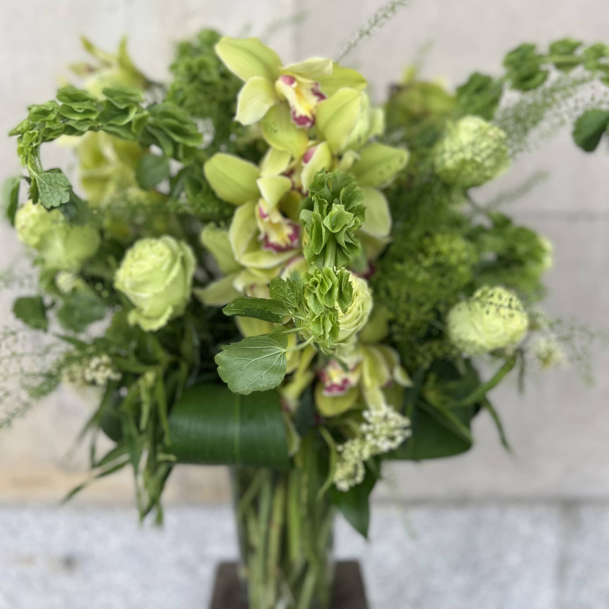 TALL LUSH ARRANGMENT CYMBIDIUM ORCHID, MINI GREEN HYDRANGEAS, BELLS OF IRELAND, ASCLEPIA, photo 5 of 7