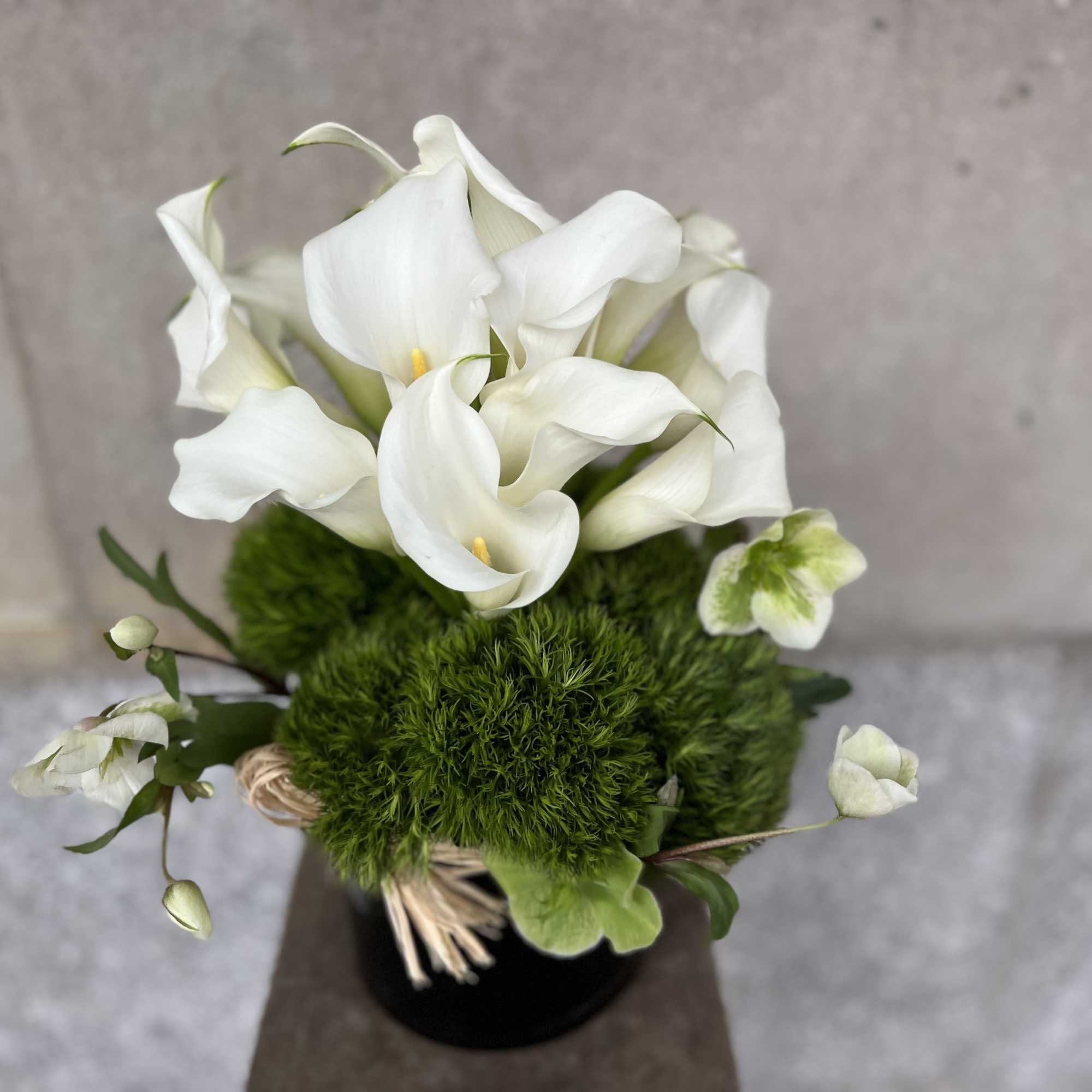 Clean, Elegant White Blooms that are the Ultimate in Pure Modern Sophistication

, photo 2 of 5