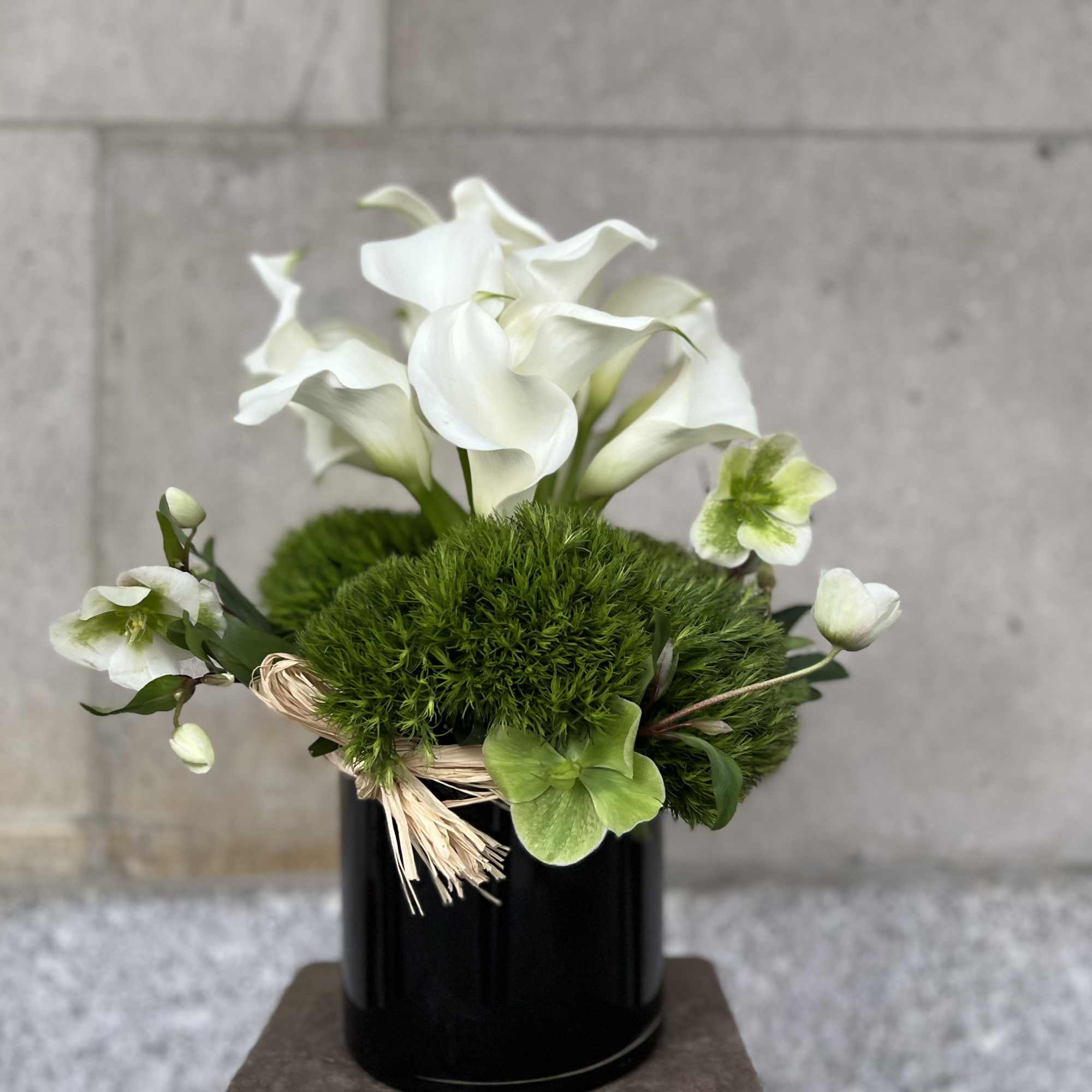 Clean, Elegant White Blooms that are the Ultimate in Pure Modern Sophistication

