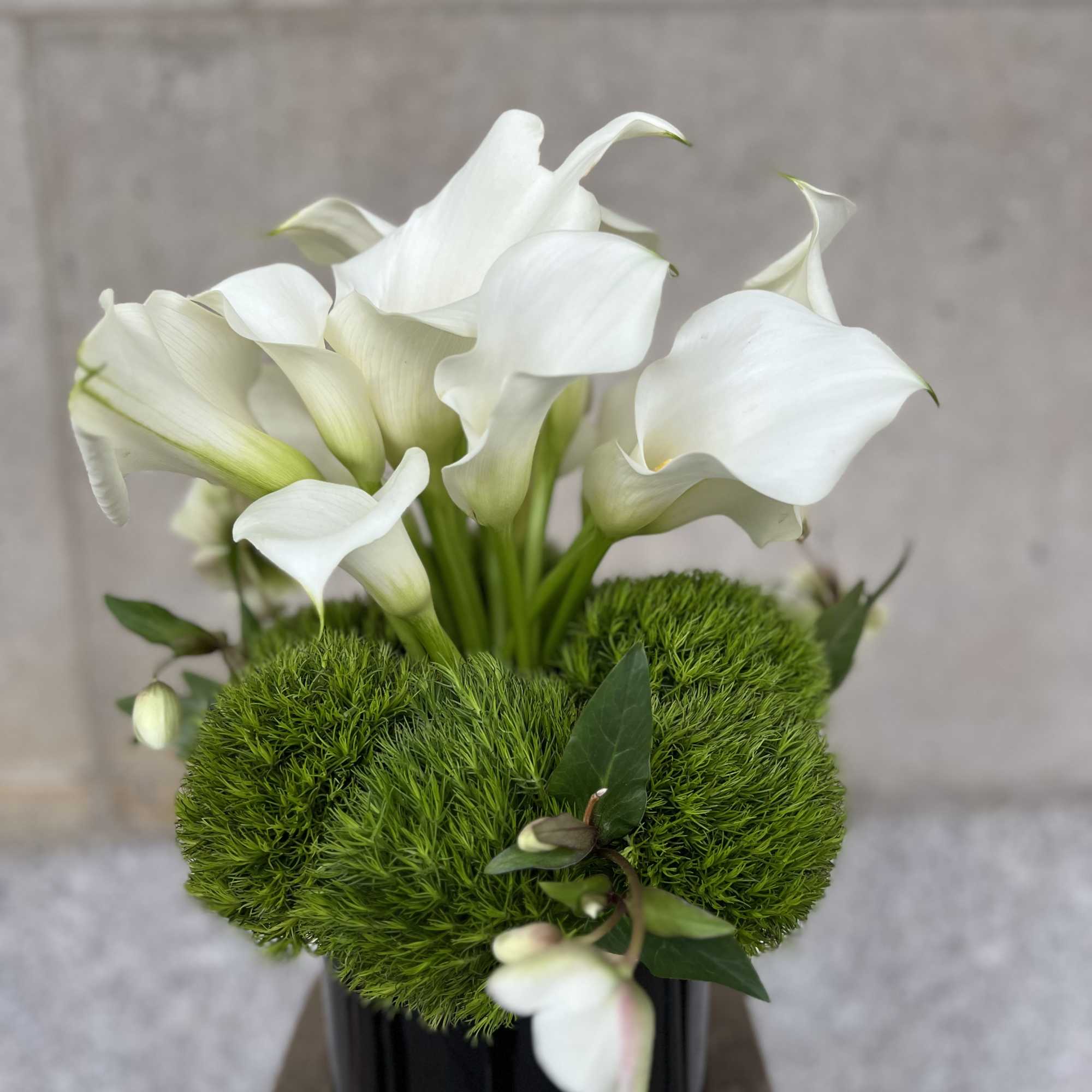 Clean, Elegant White Blooms that are the Ultimate in Pure Modern Sophistication

, photo 5 of 5