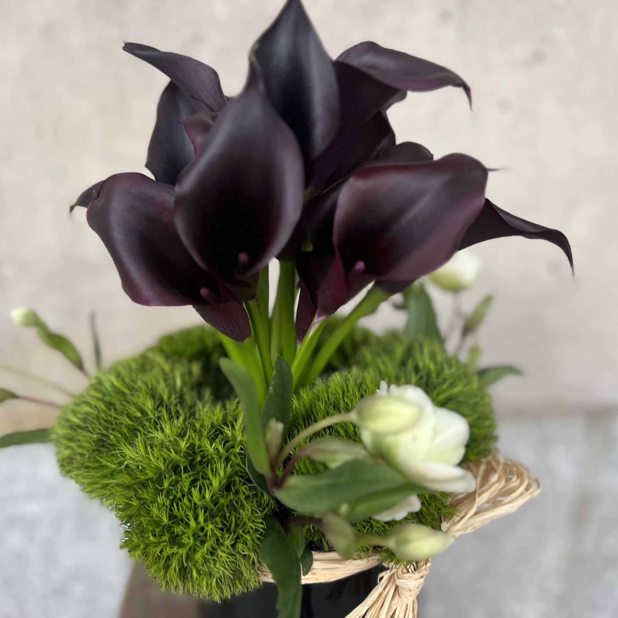 Clean, Elegant eggplant color calla lily's  that are the Ultimate in