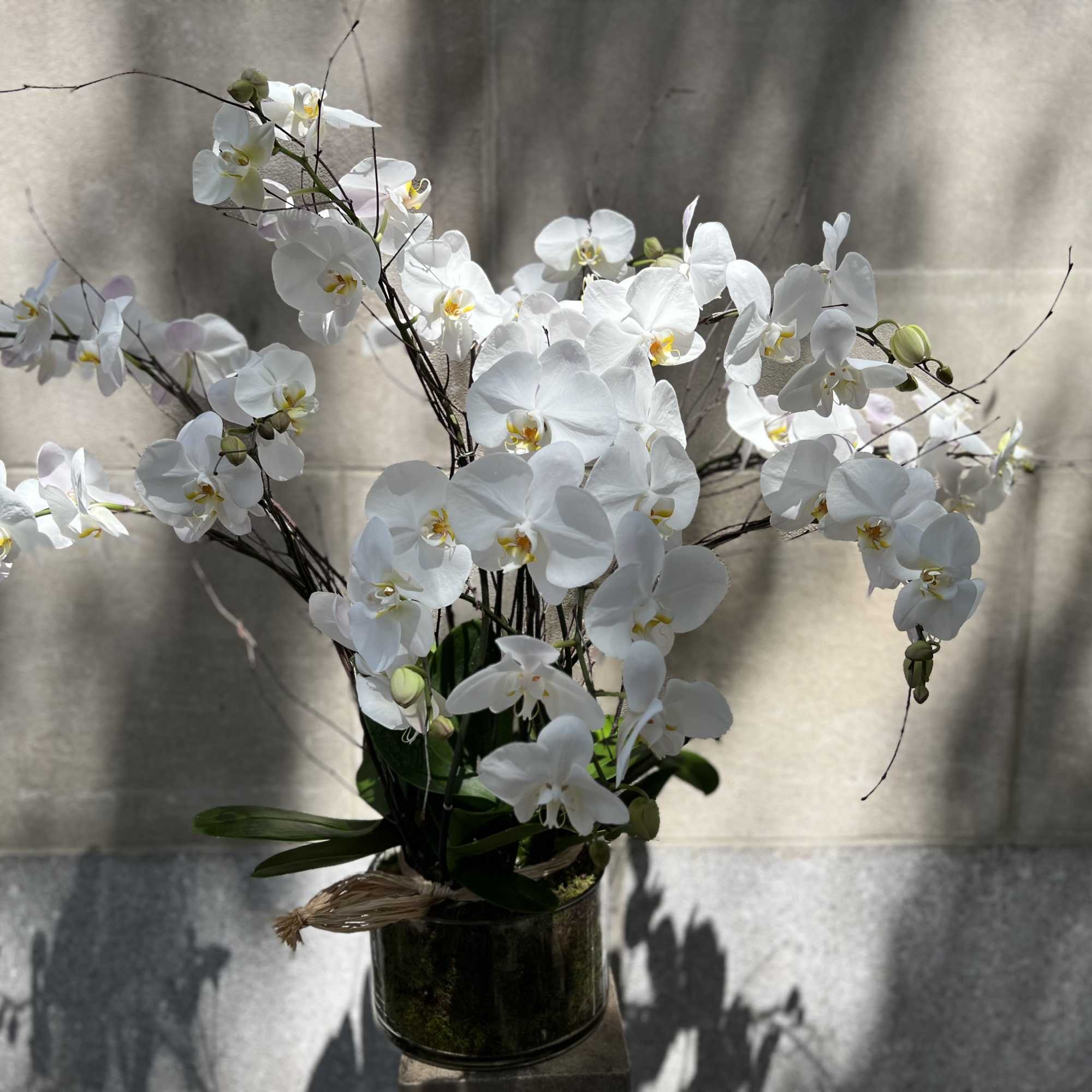 White orchid arrangement in a dark glass vase, photo 3 of 10