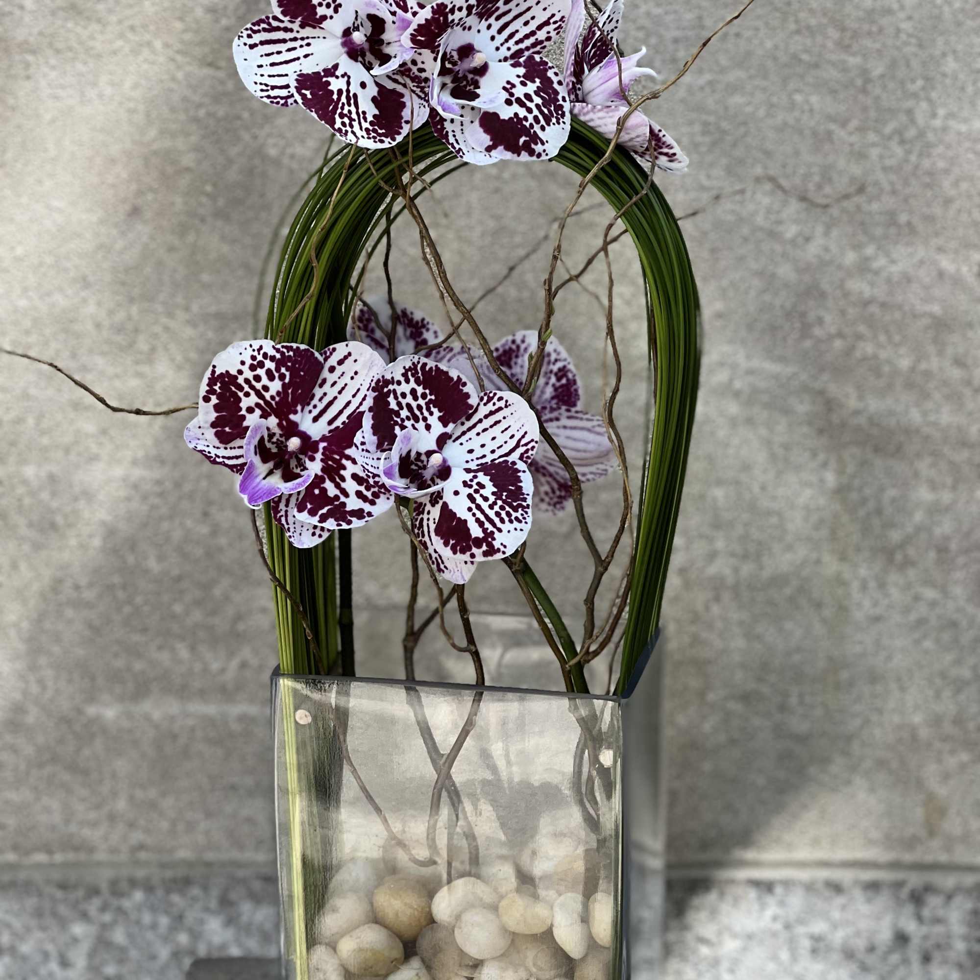 White and burgundy orchids in a tall glass vase with stones