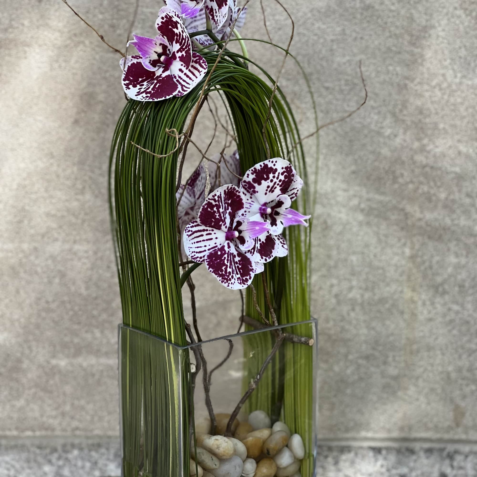 Orchid stems in a tall glass vase with pebbles