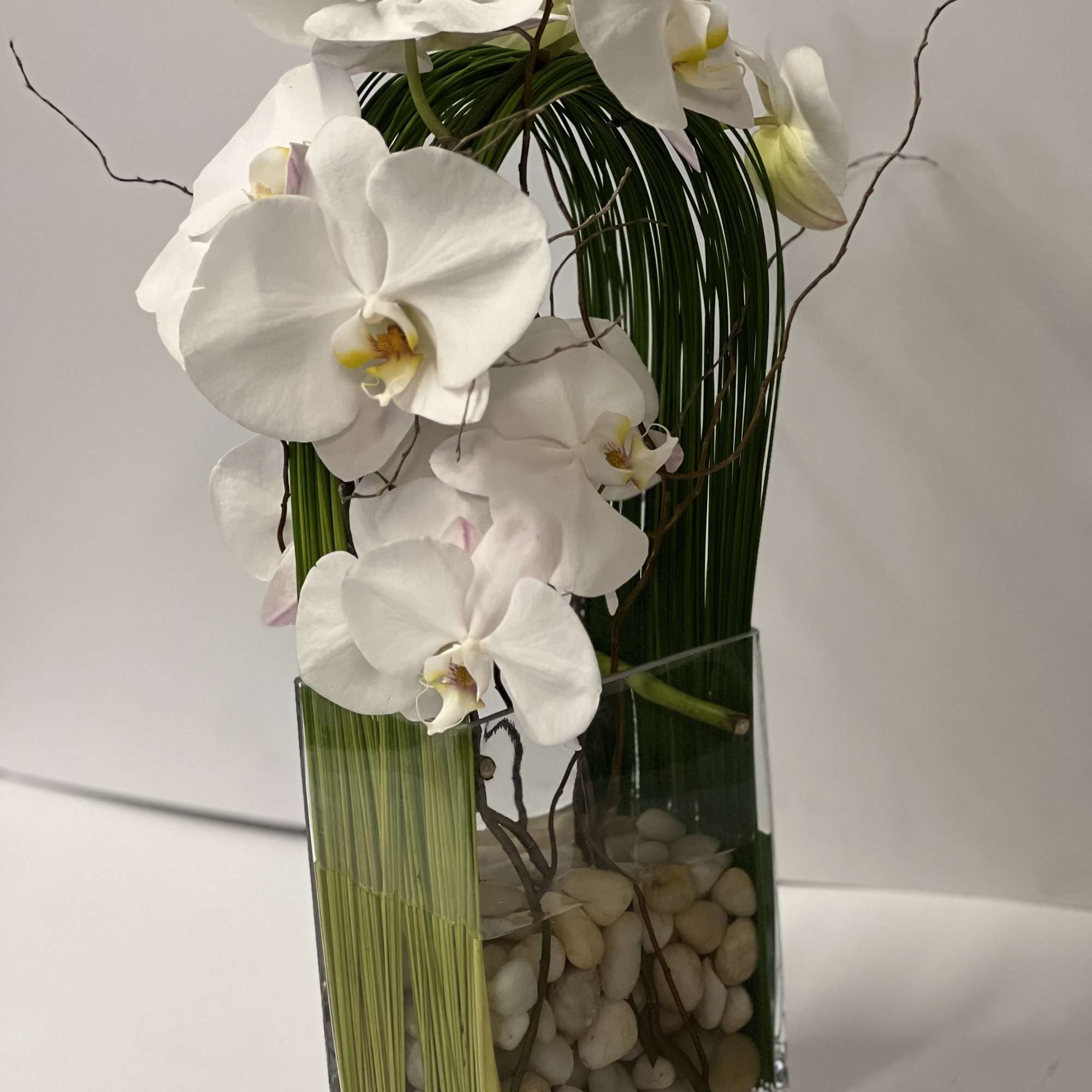 White orchids arranged in a tall glass vase with stones