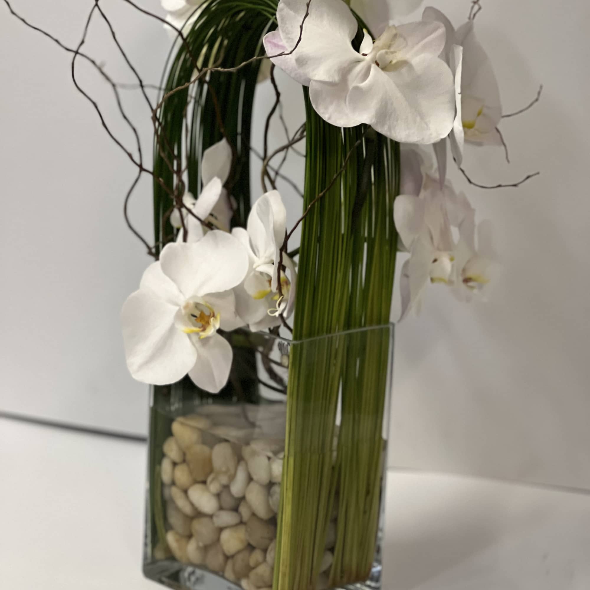 White orchids in a tall glass vase with pebbles