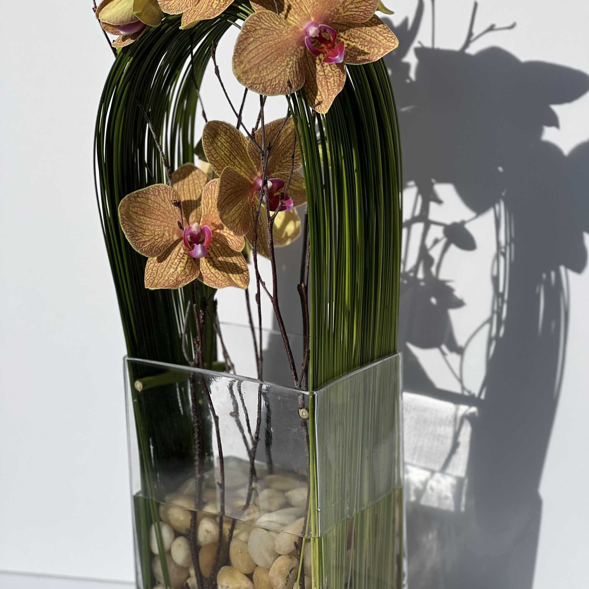 Elegant display of cut stem white orchid phalaenopsis captured by Australian flexi, photo 4 of 9