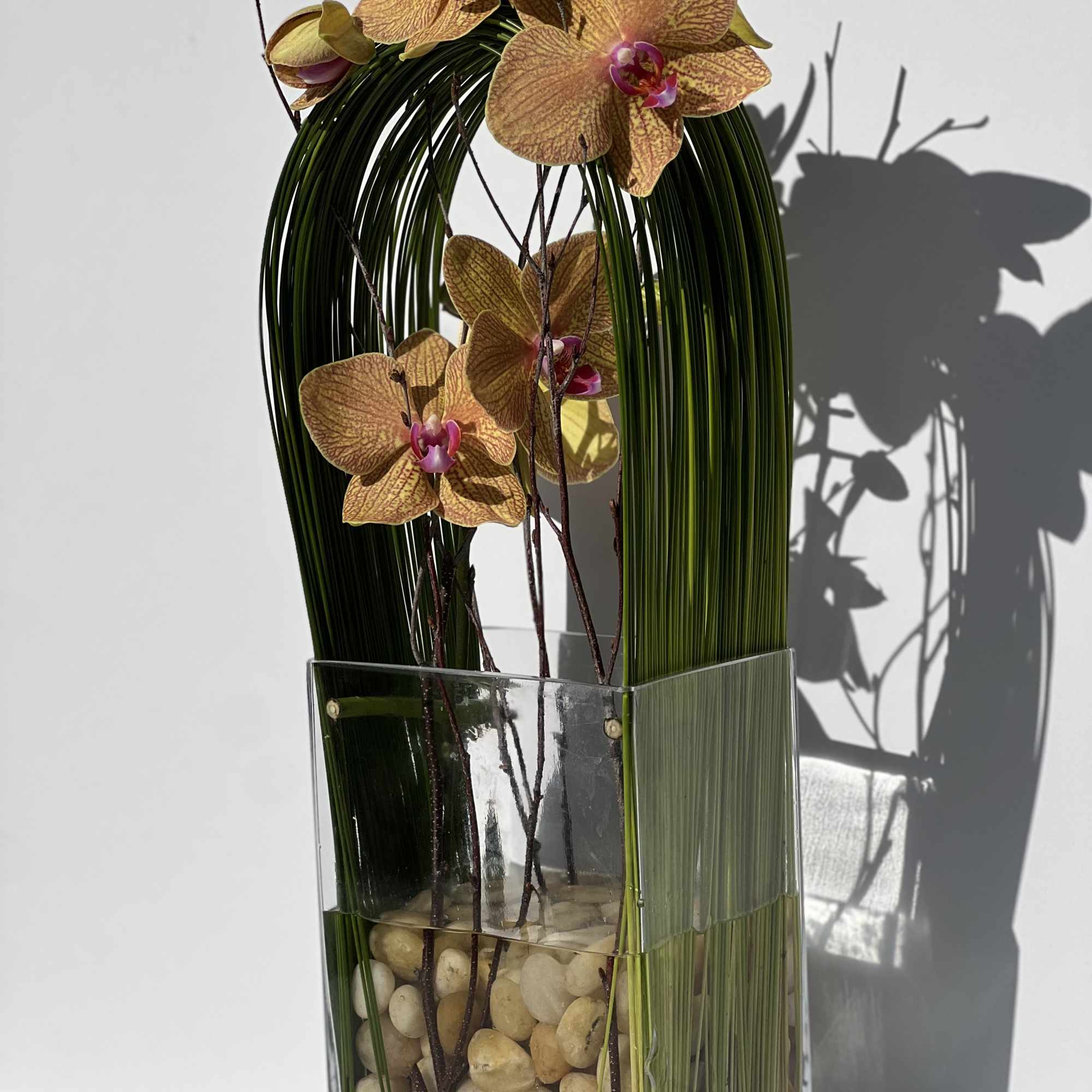 Elegant display of cut stem white orchid phalaenopsis captured by Australian flexi, photo 7 of 9