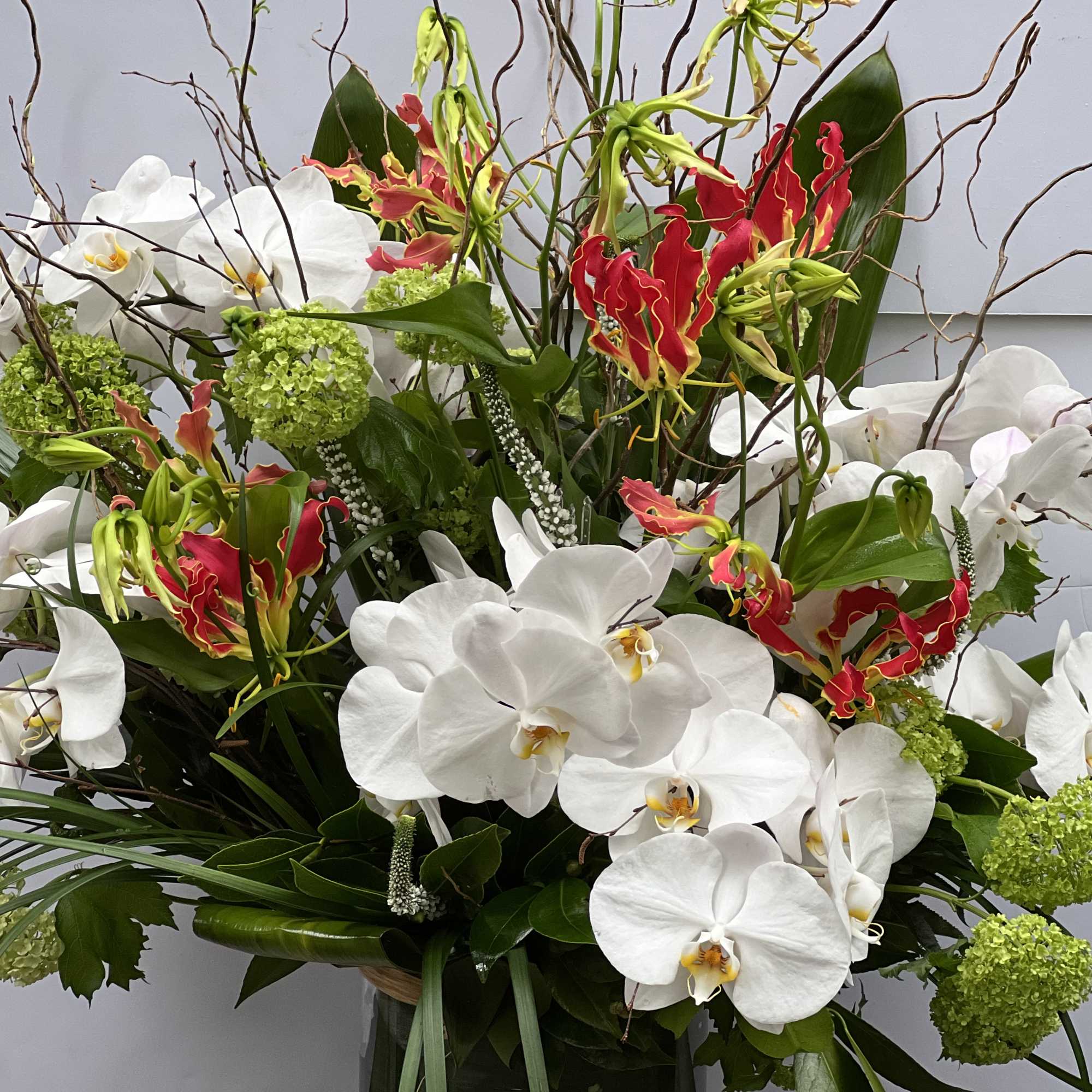 CYLINDRICAL VASE WITH JAPANESE GLORIOSA, WHITE PHALAENOPSIS ORCHIDS, VIBURNUM, THAI LEAF, AND, photo 2 of 10