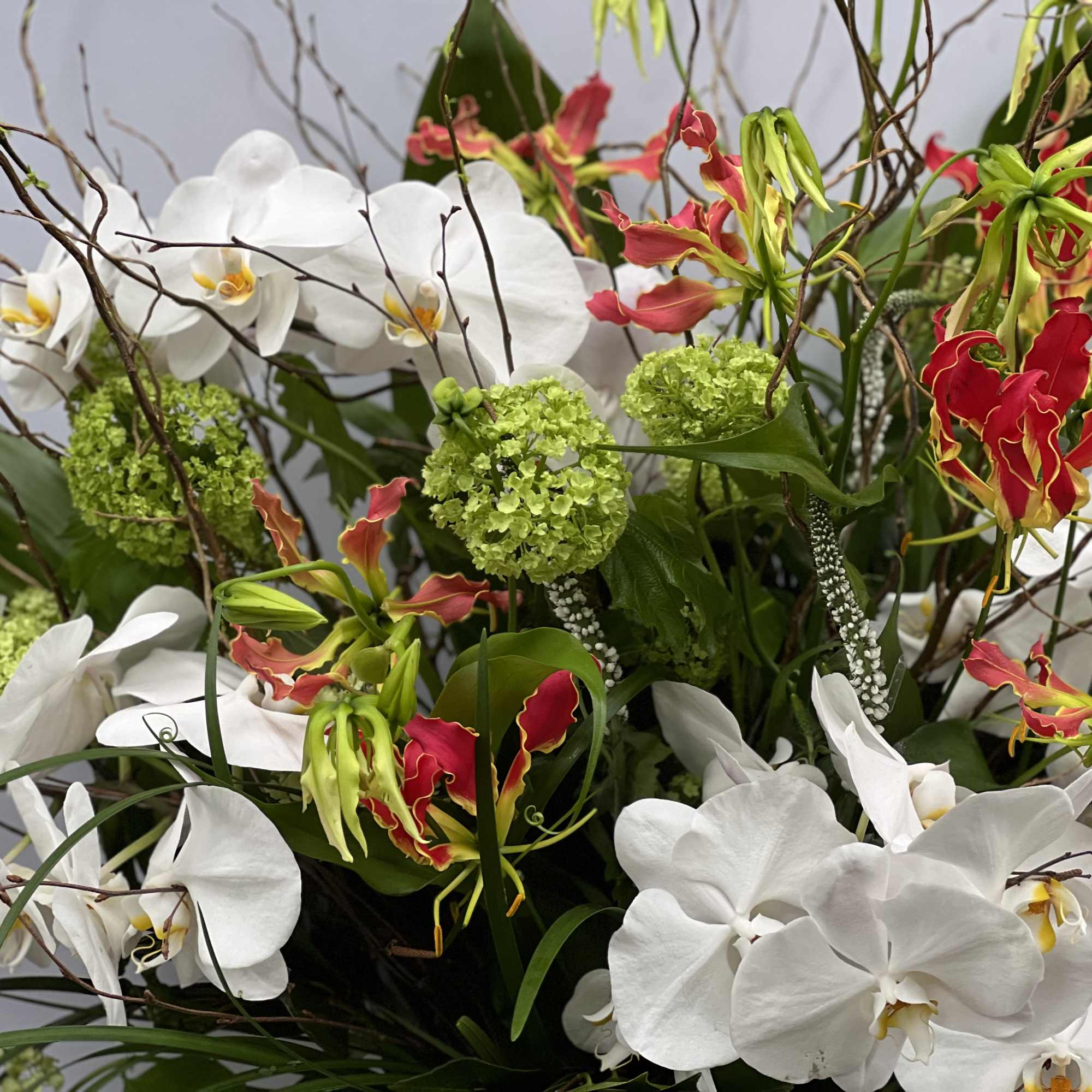 White orchids and red tropical flowers with green accents in a tall arrangement