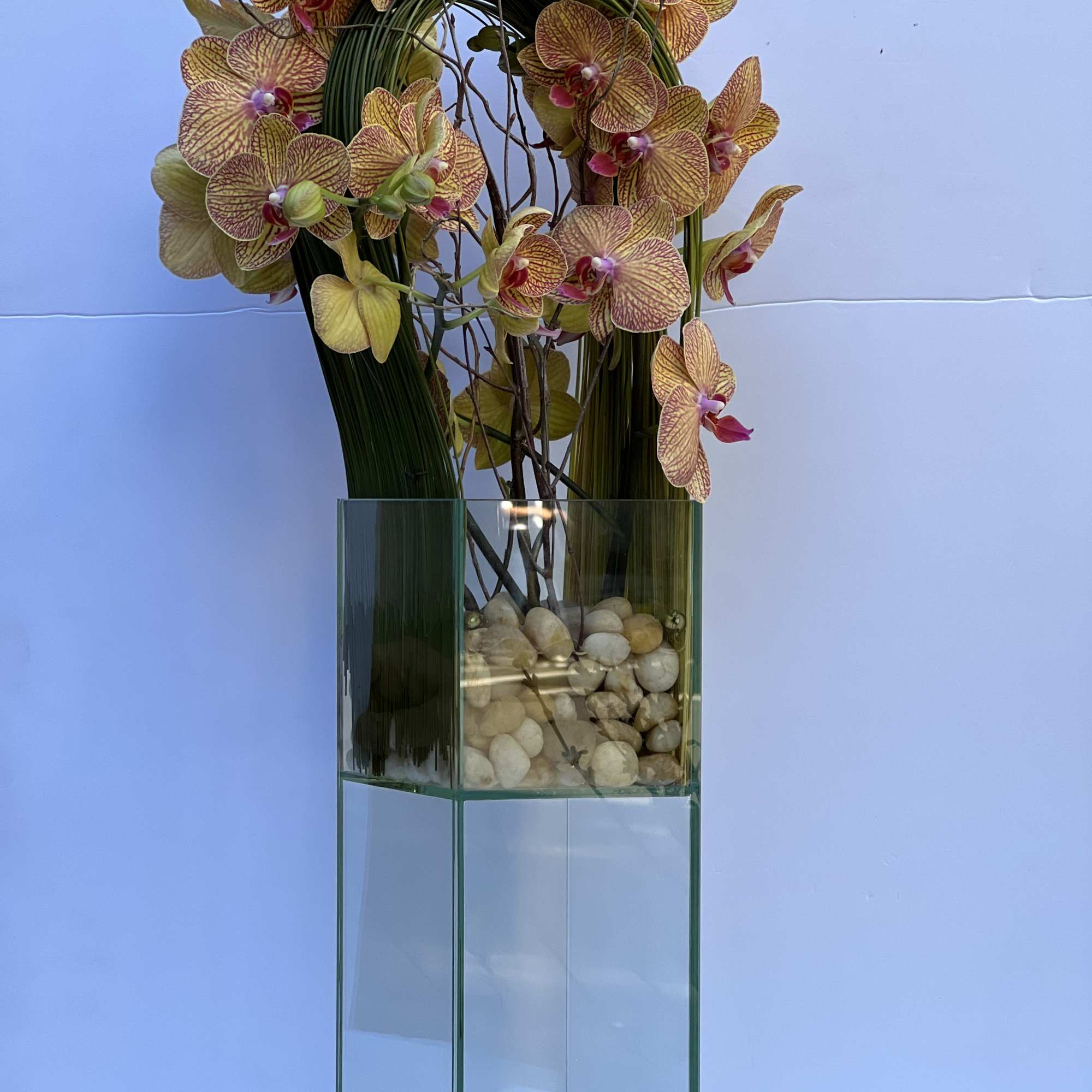 Tall orchid arrangement in a glass vase with decorative stones