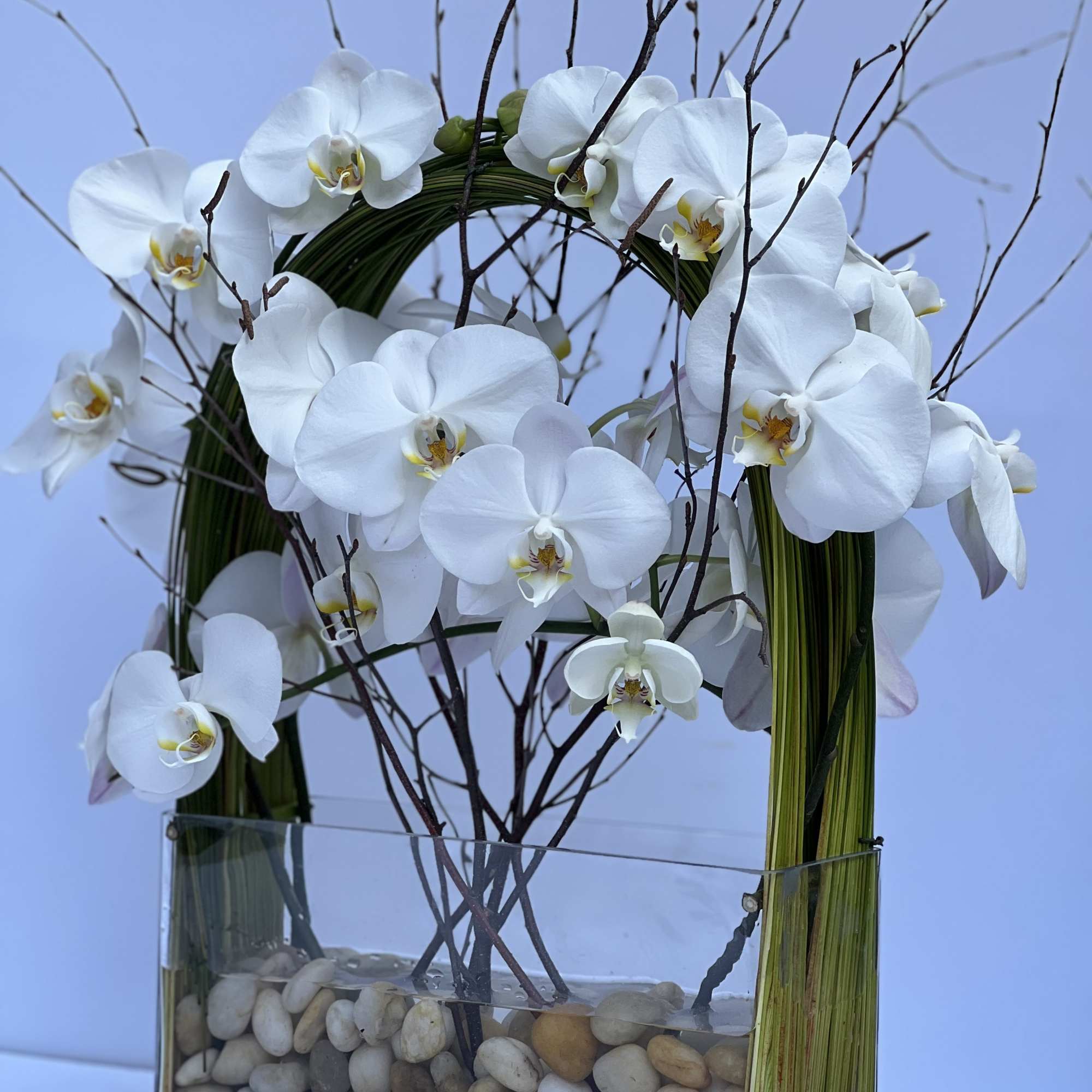 White orchids arranged in a glass vase with stones