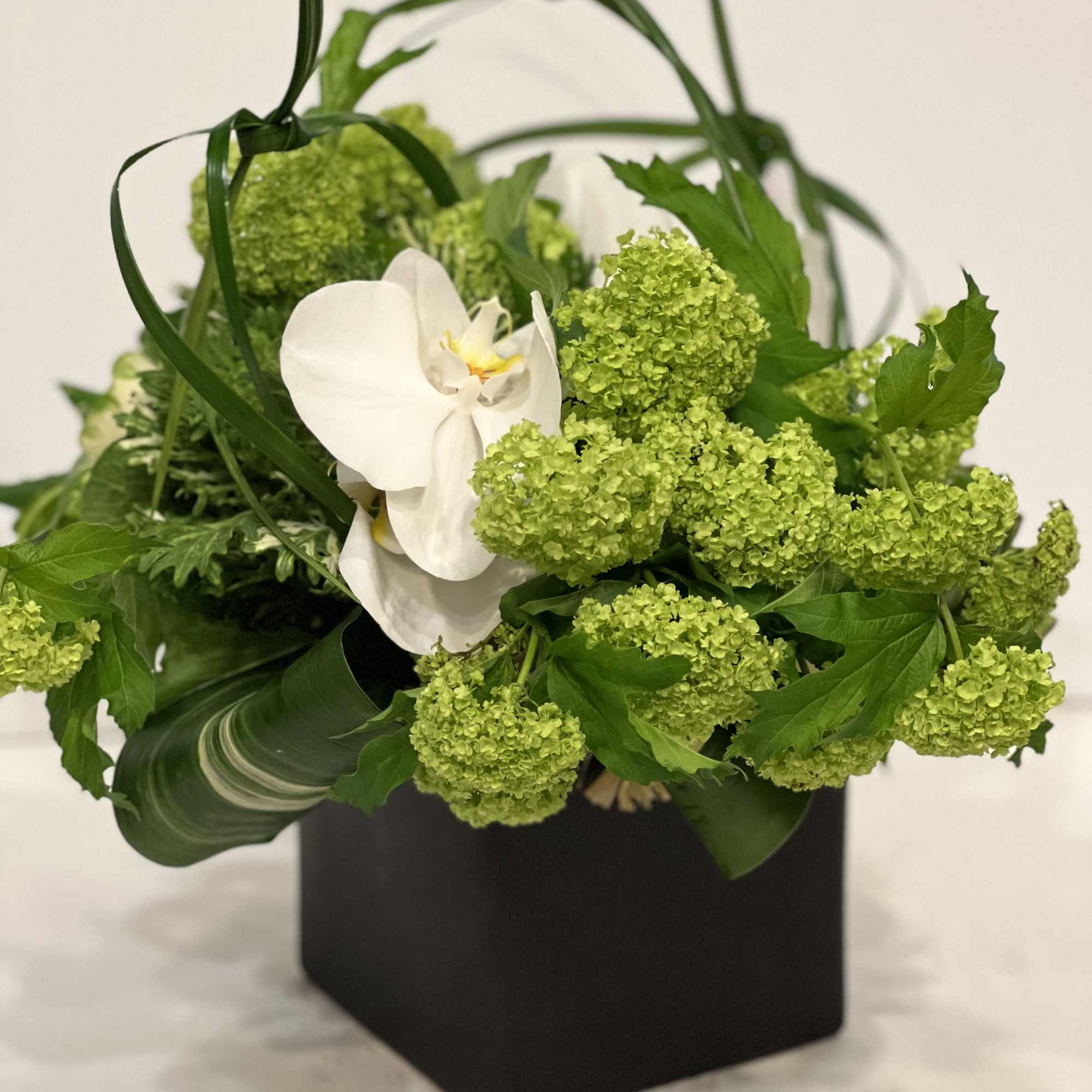 White phalaenopsis orchid surrounded by snow ball viburnum, Cale and succulent. 
over, photo 2 of 6