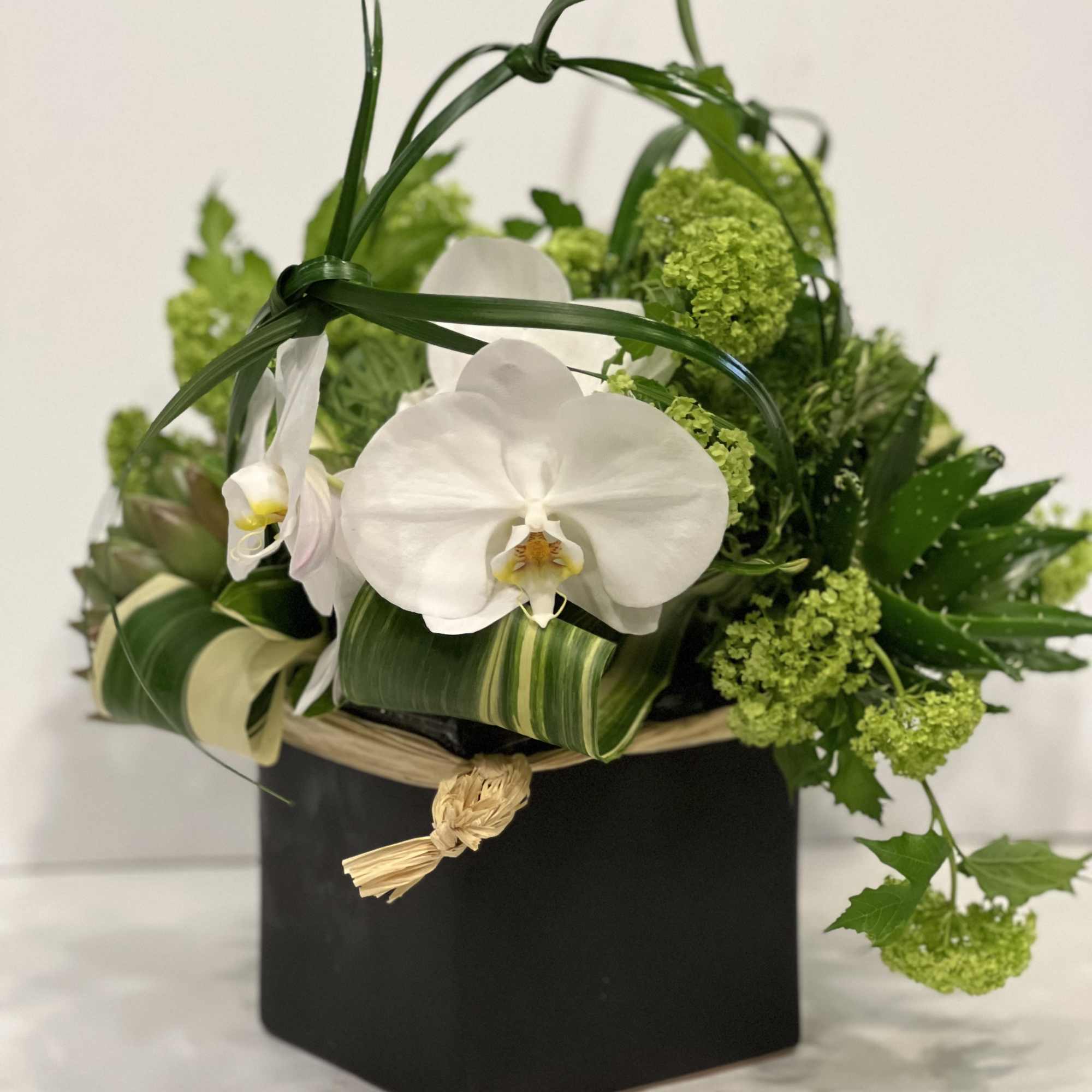 White phalaenopsis orchid surrounded by snow ball viburnum, Cale and succulent. 
over, photo 5 of 6