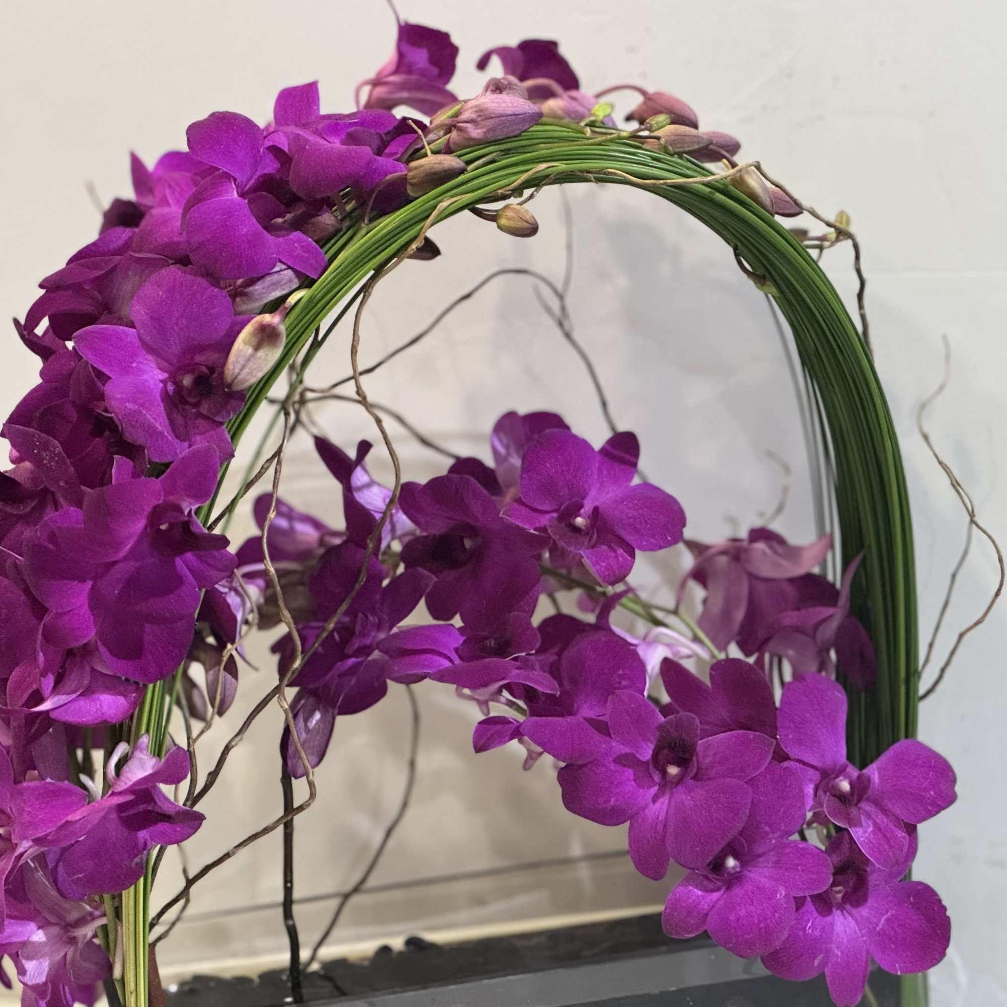 Purple orchid arrangement on a curved green wire frame
