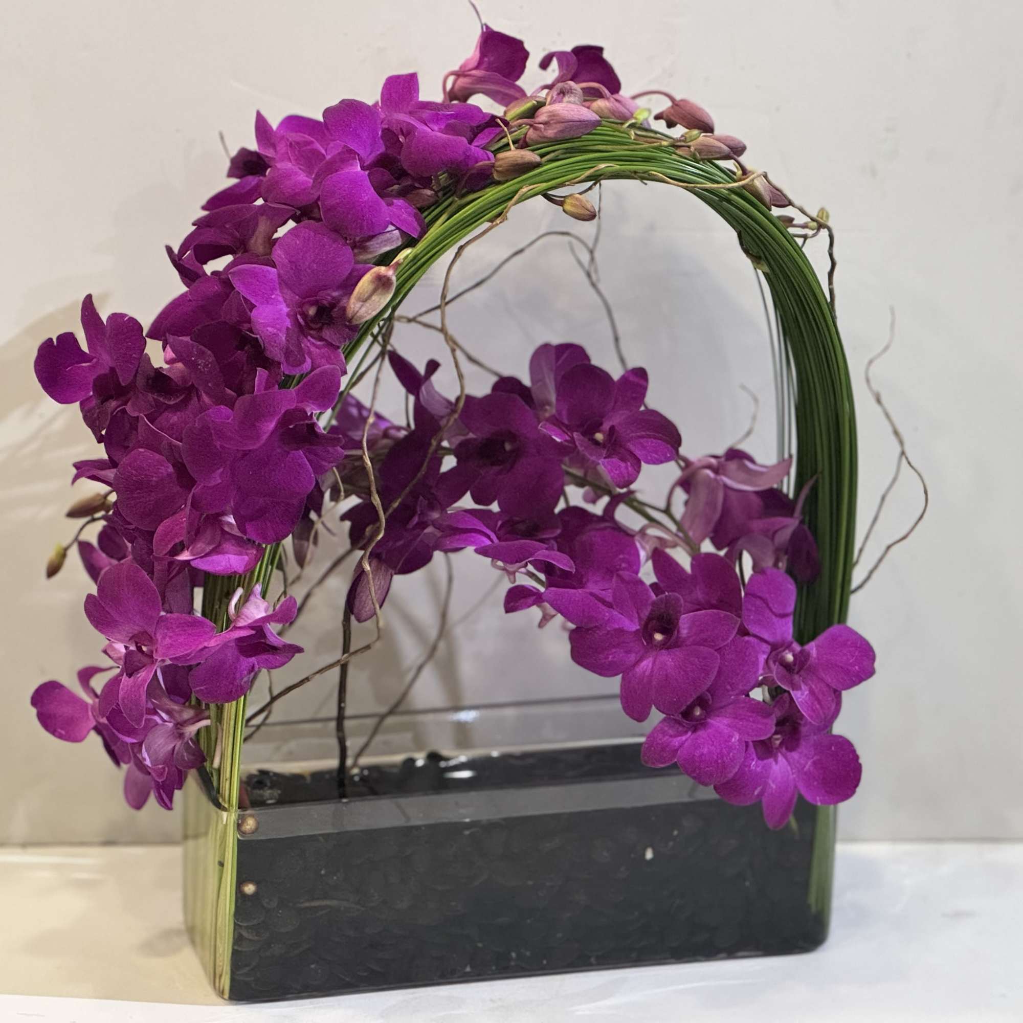 Elegant display of 4 stems long draping dendrobiums orchid captured by Australian, photo 3 of 6