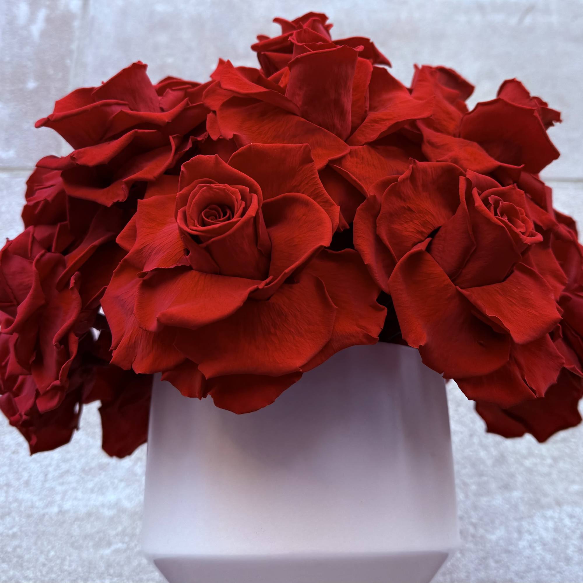 Our preserved roses are meticulously handcrafted on our farm in Ecuador, ensuring, photo 3 of 3