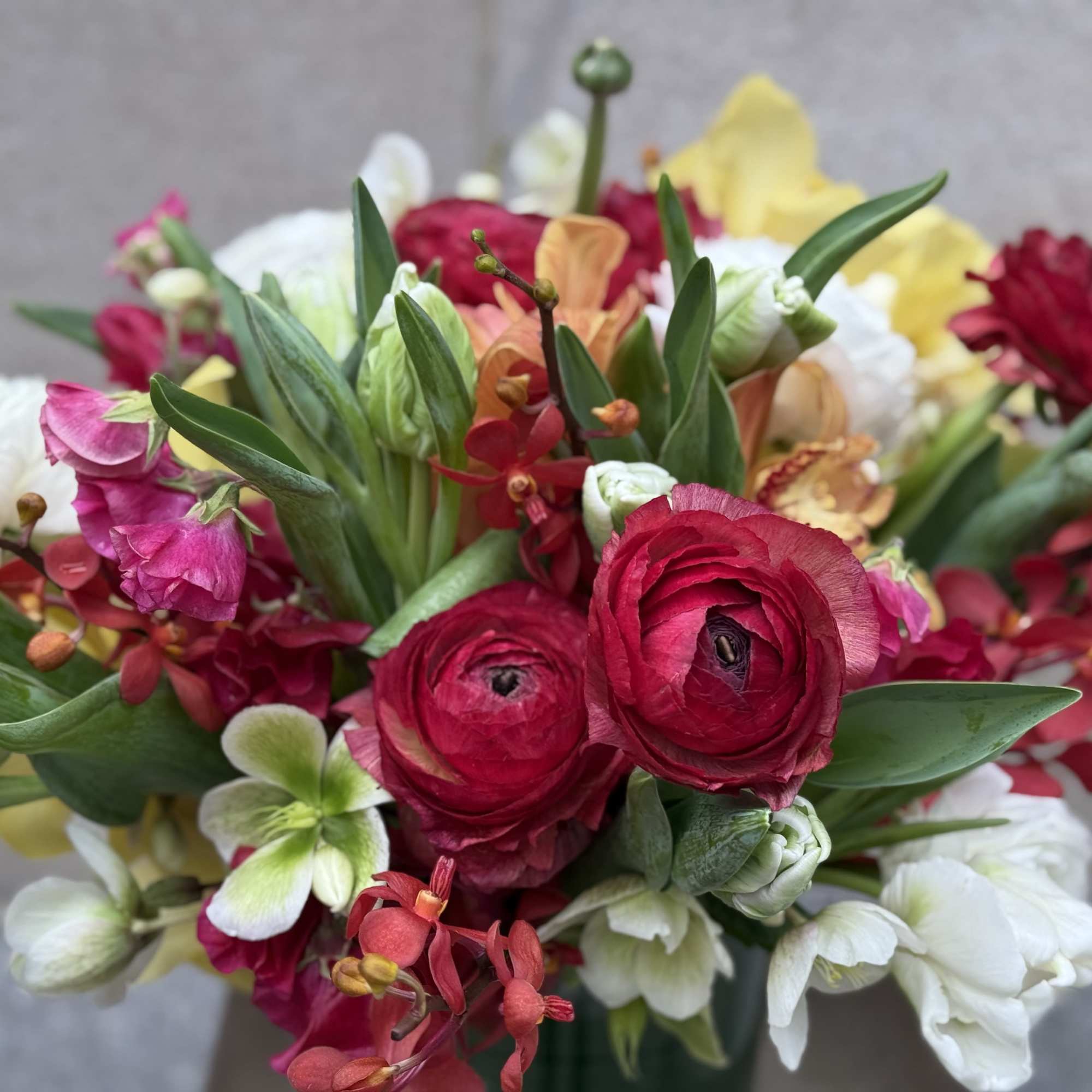 A low and plump arrangement that&rsquo;s bursting with stunning white and hot, photo 3 of 4